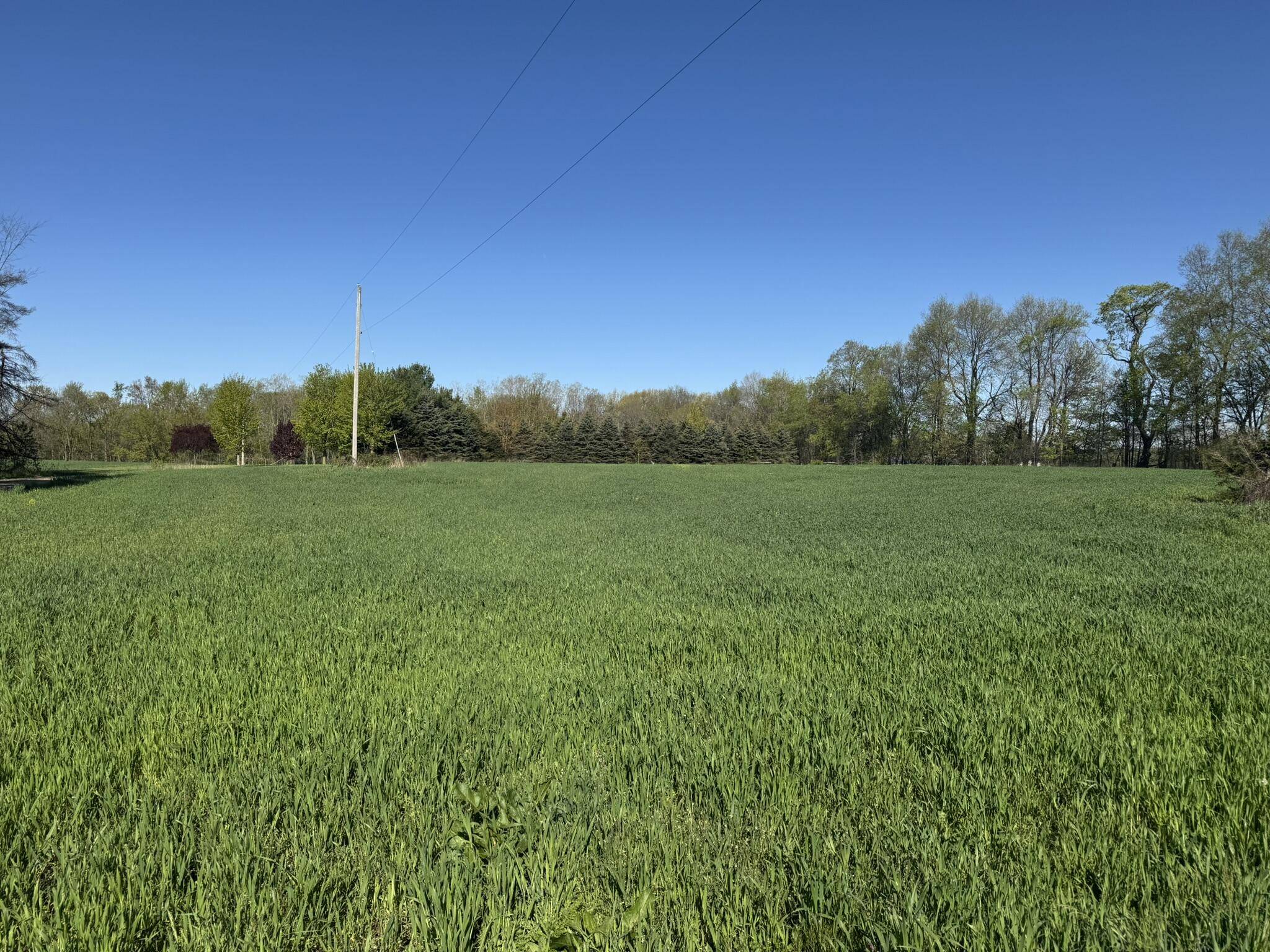 Eaton Rapids, MI 48827,Lot A Stoney Lane