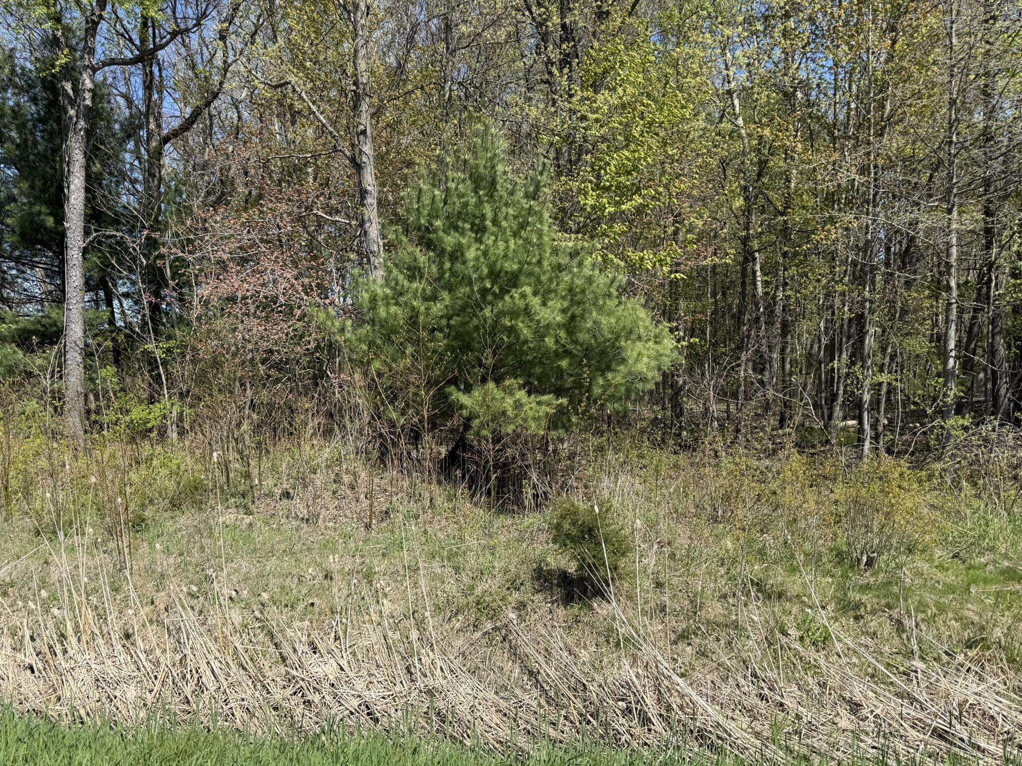 Grand Junction, MI 49056,VL CR 681