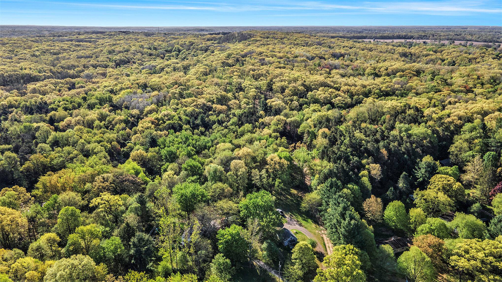 Battle Creek, MI 49014,Bellevue Road