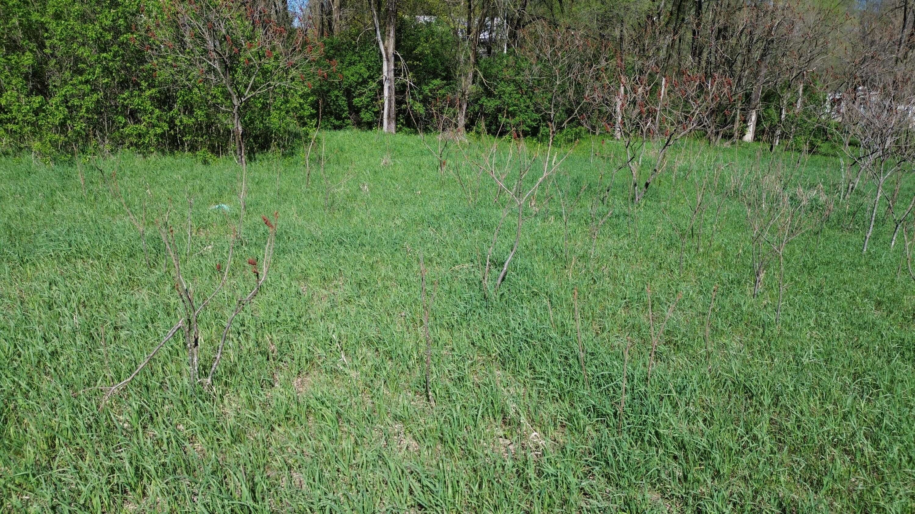 Shelby, MI 49455,V/L Lot #'s 15 & 16 E Loop Road