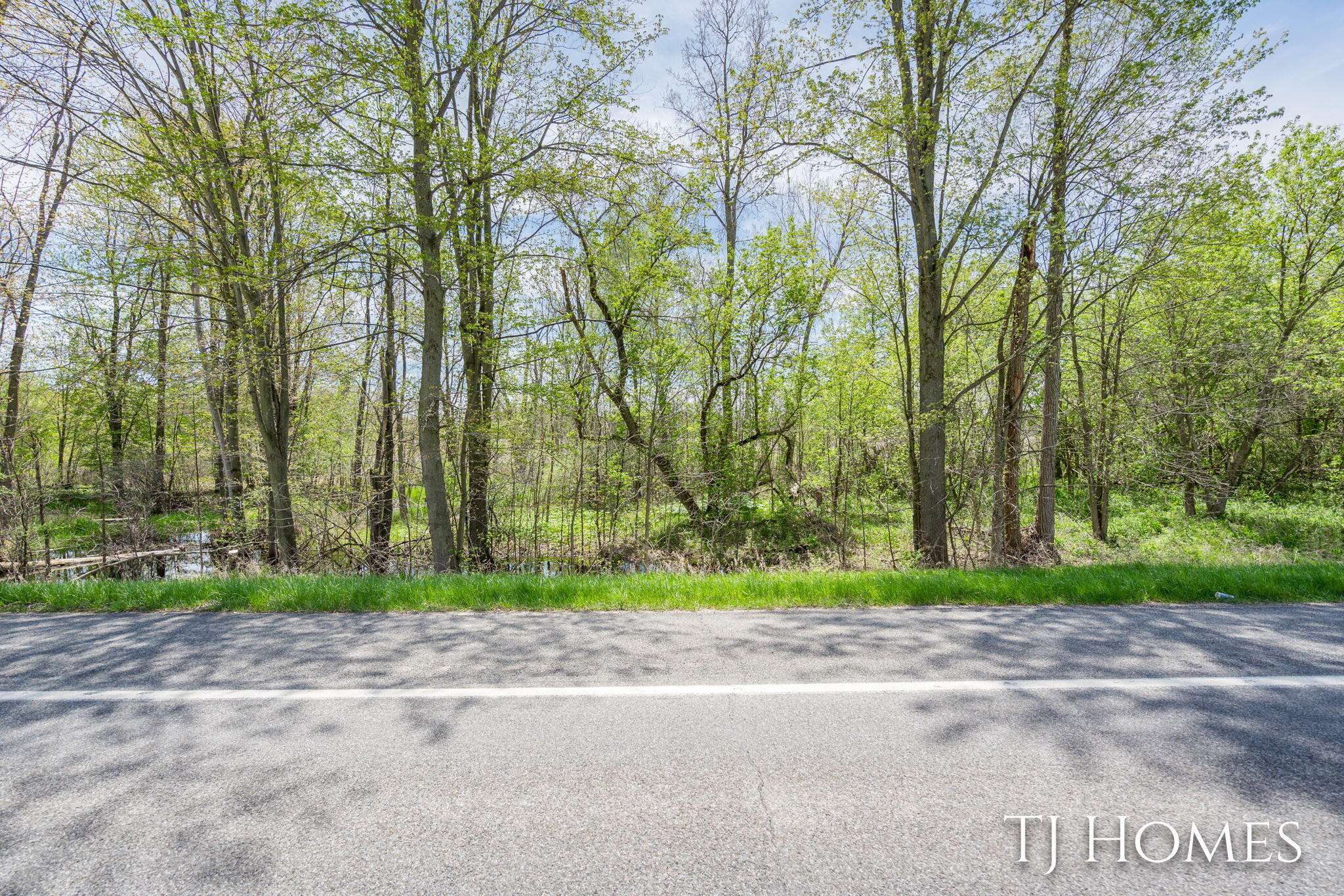 Hastings, MI 49058,E M-79 Highway