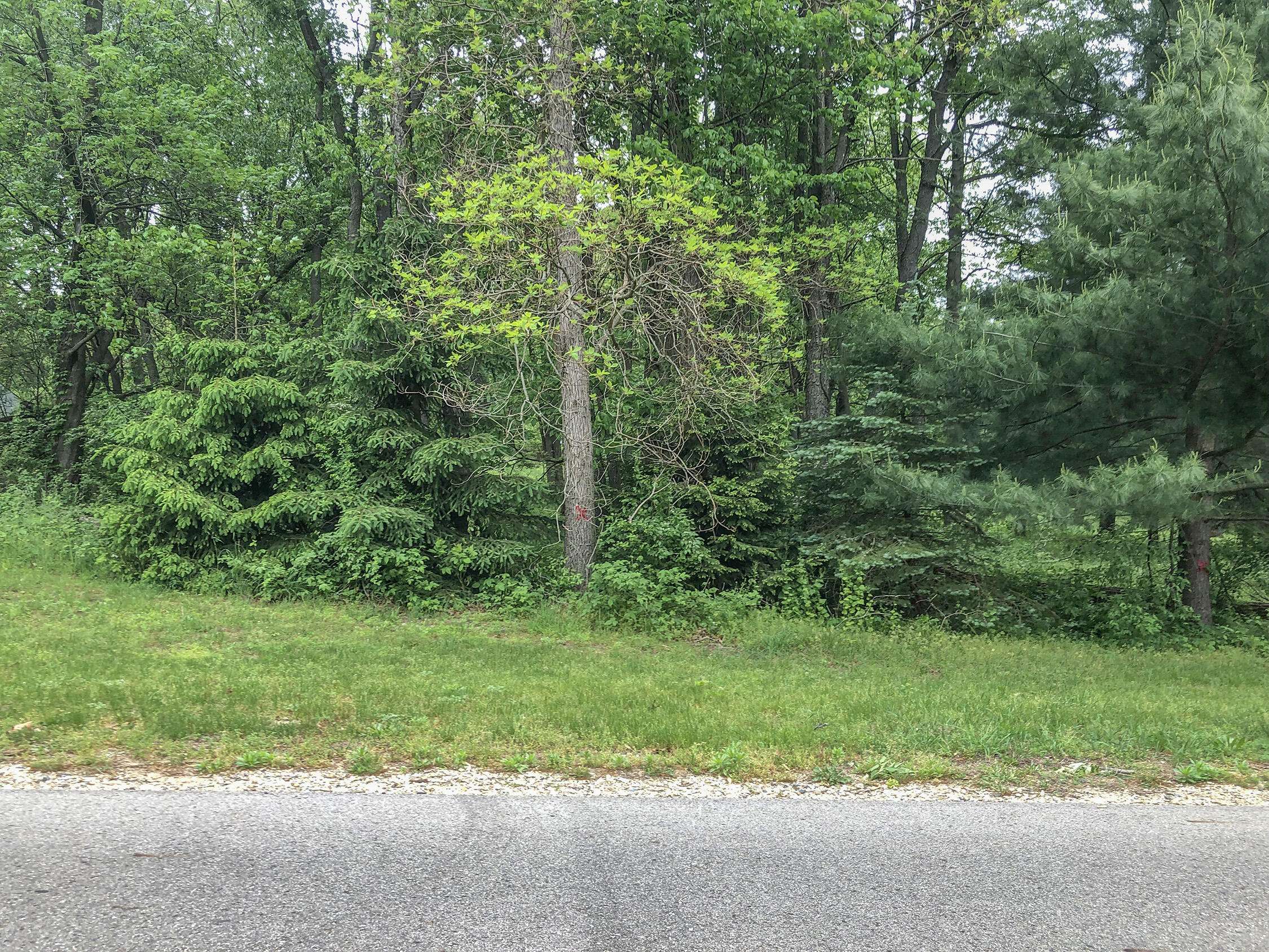 Niles, MI 49120,surges Road