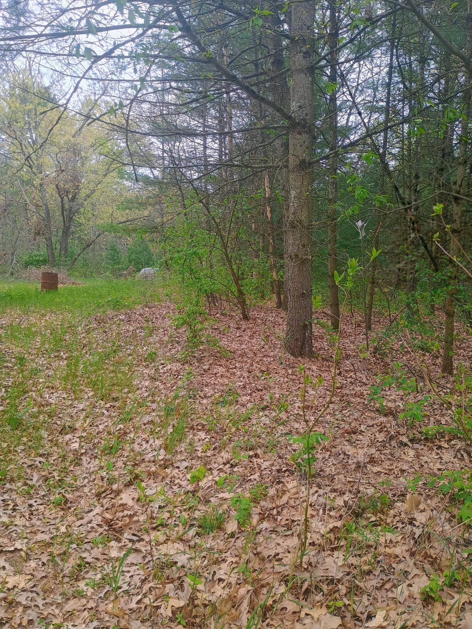 Newaygo, MI 49337,4590 Oak Avenue