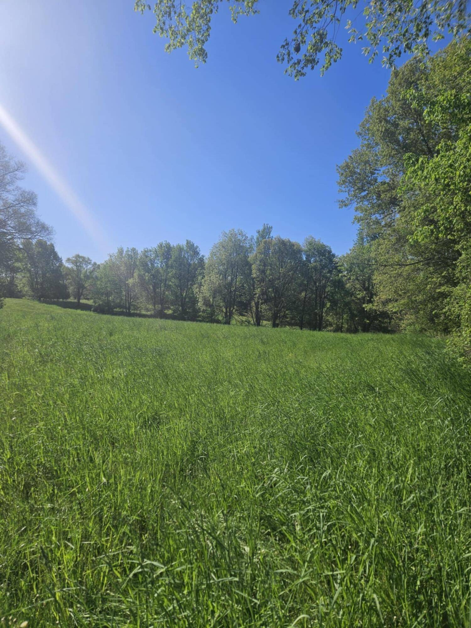 Bellevue, MI 49021,Jones Road