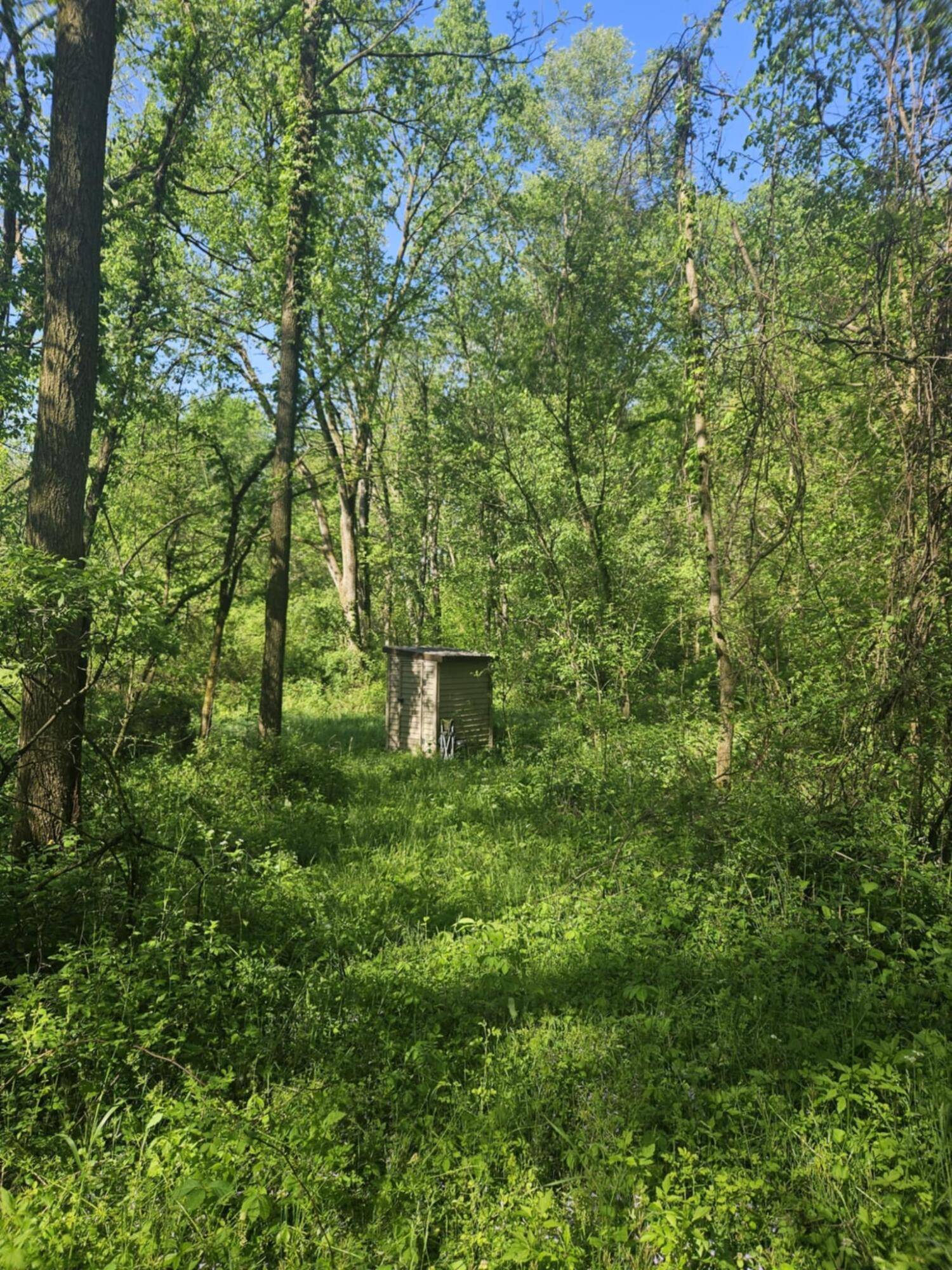 Bellevue, MI 49021,Jones Road