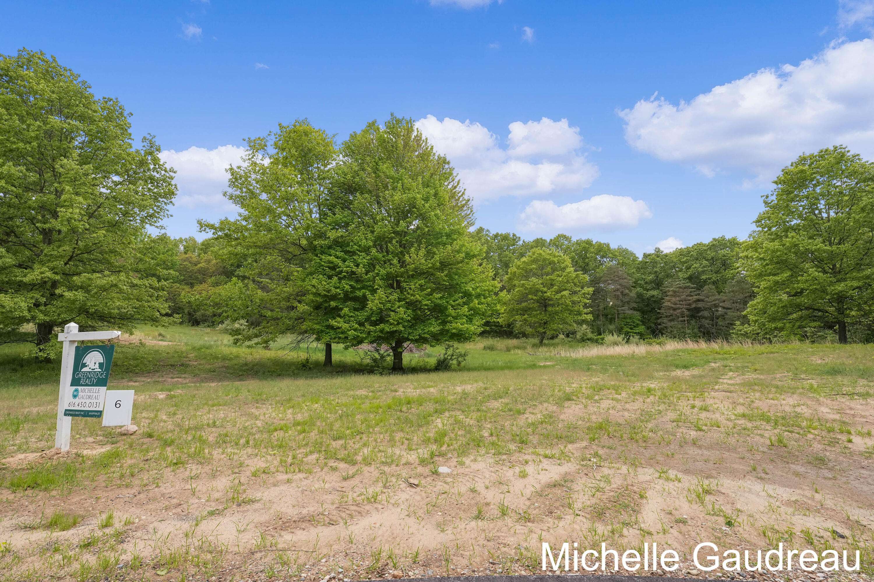 Freeport, MI 49325,Parcel 6 Leaf Lane