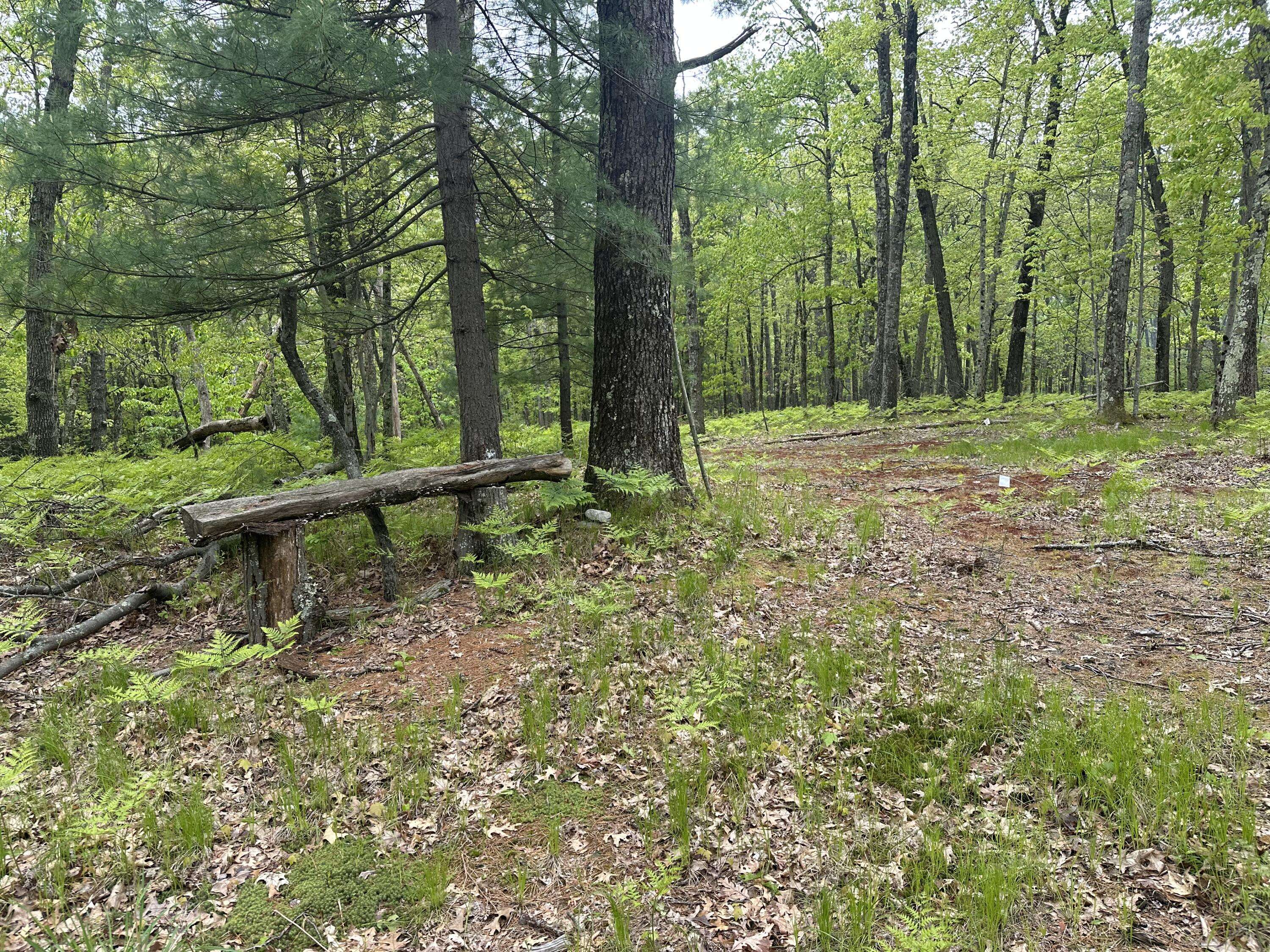 Baldwin, MI 49304,9846 W Oxpath