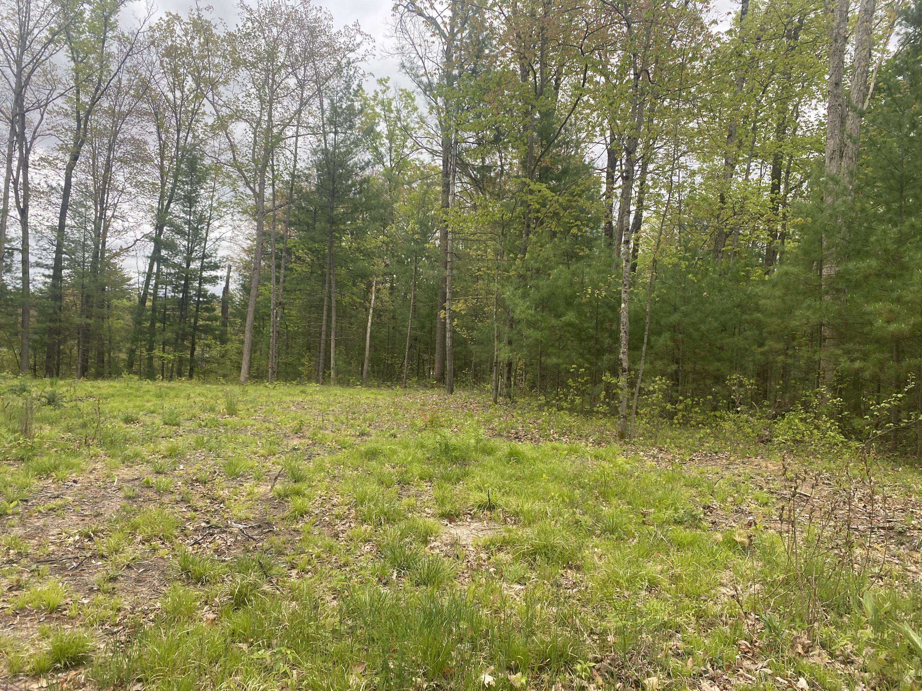 Baldwin, MI 49304,6032 S Whalen Lake Road