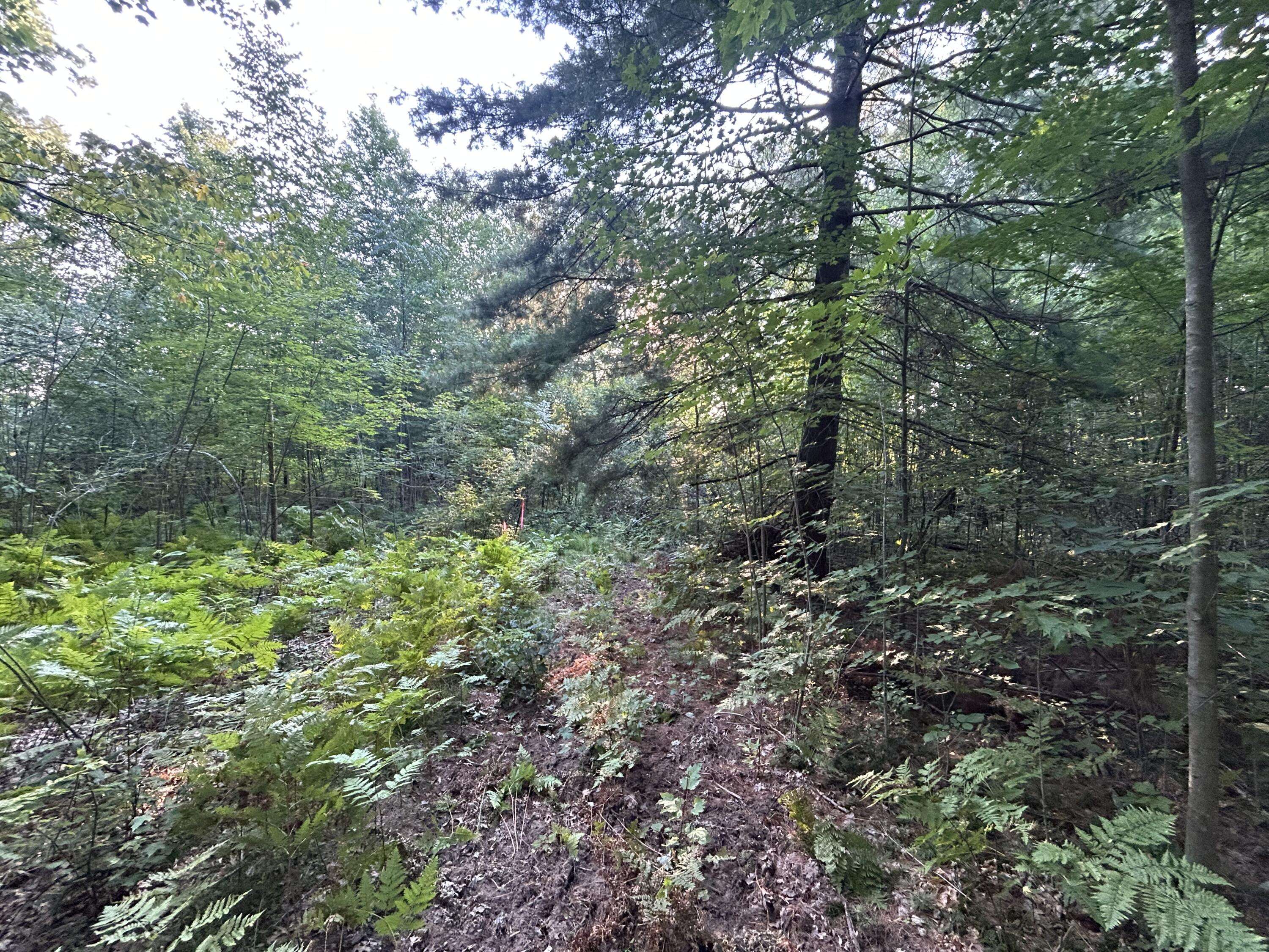 Pierson, MI 49339,22903 Waterwheel Drive