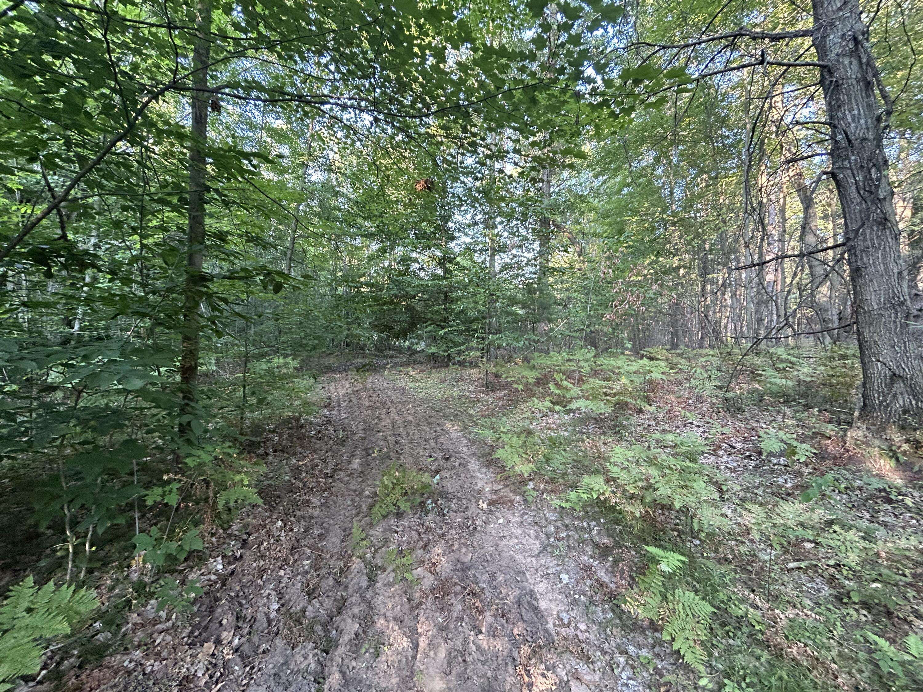 Pierson, MI 49339,22903 Waterwheel Drive