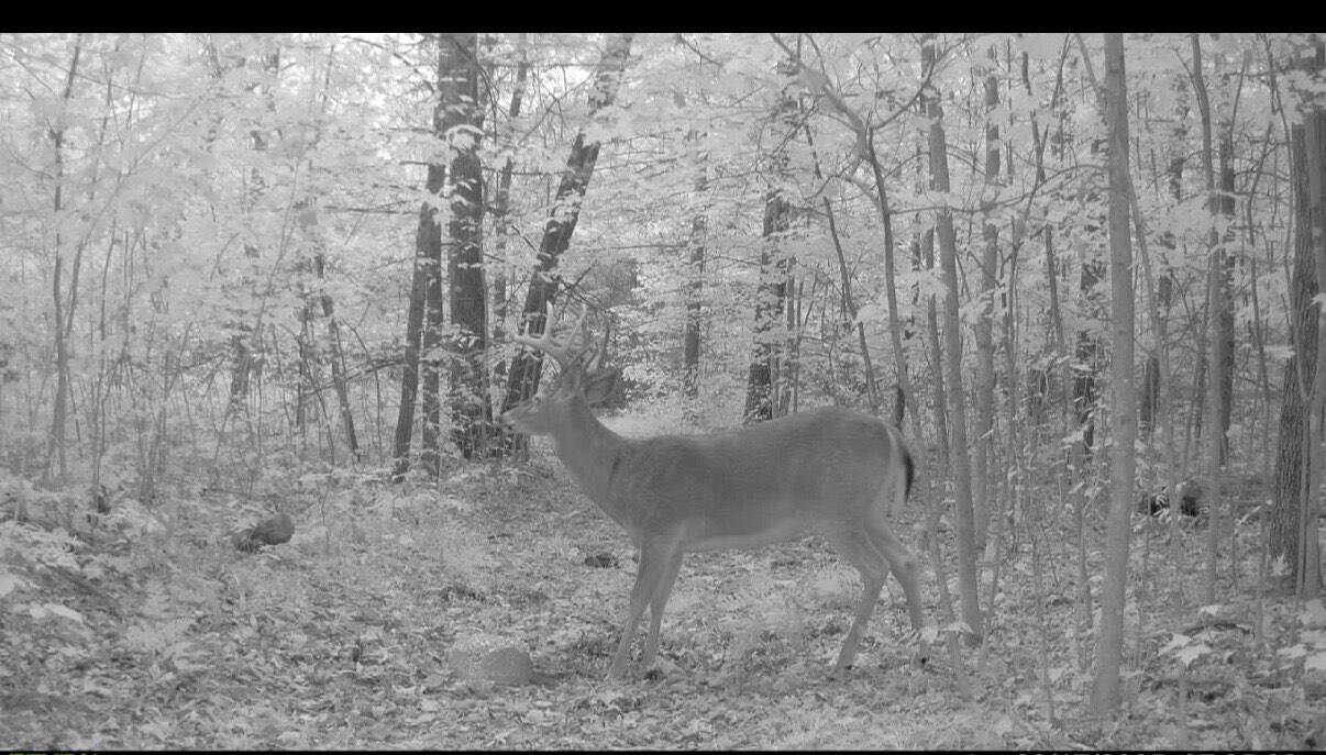 Pierson, MI 49339,22903 Waterwheel Drive