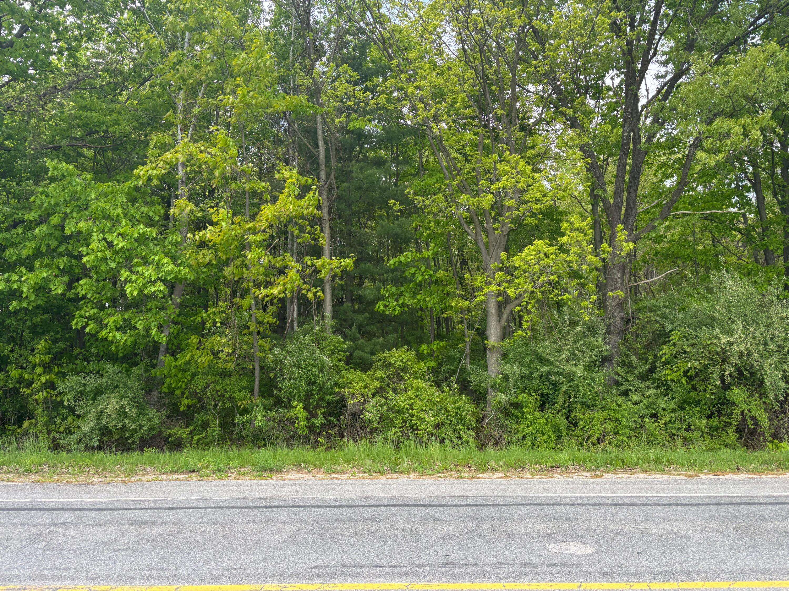 Rockford, MI 49341,Parcel 4 Edgerton Road