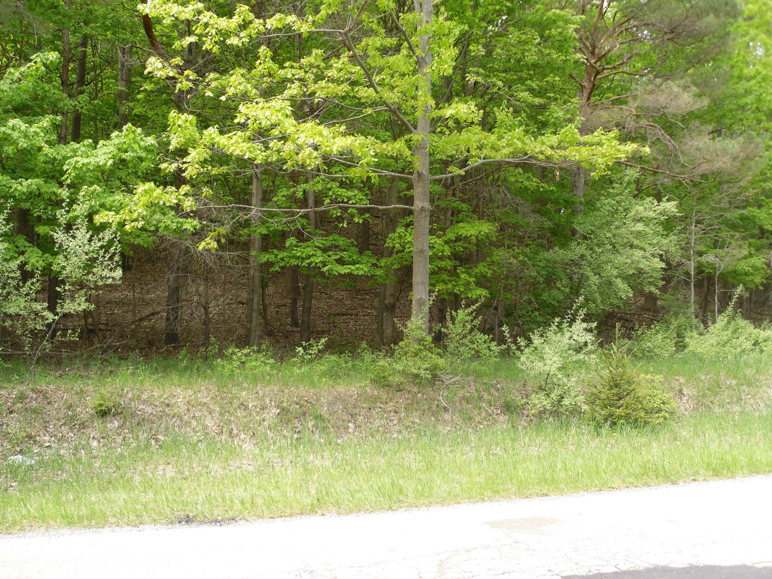 Ludington, MI 49431,S Lakeshore Drive #26
