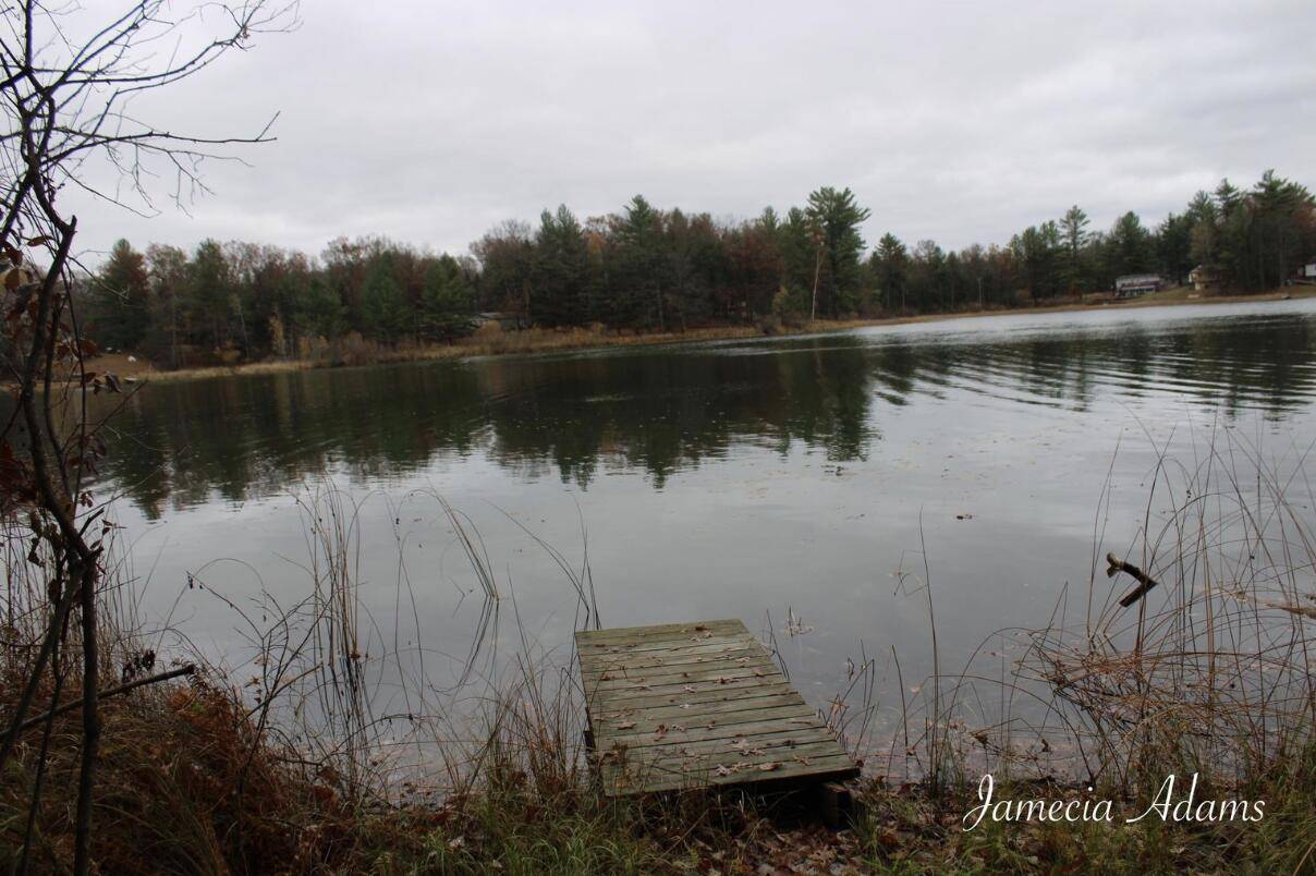 Idlewild, MI 49642,0 S Paris