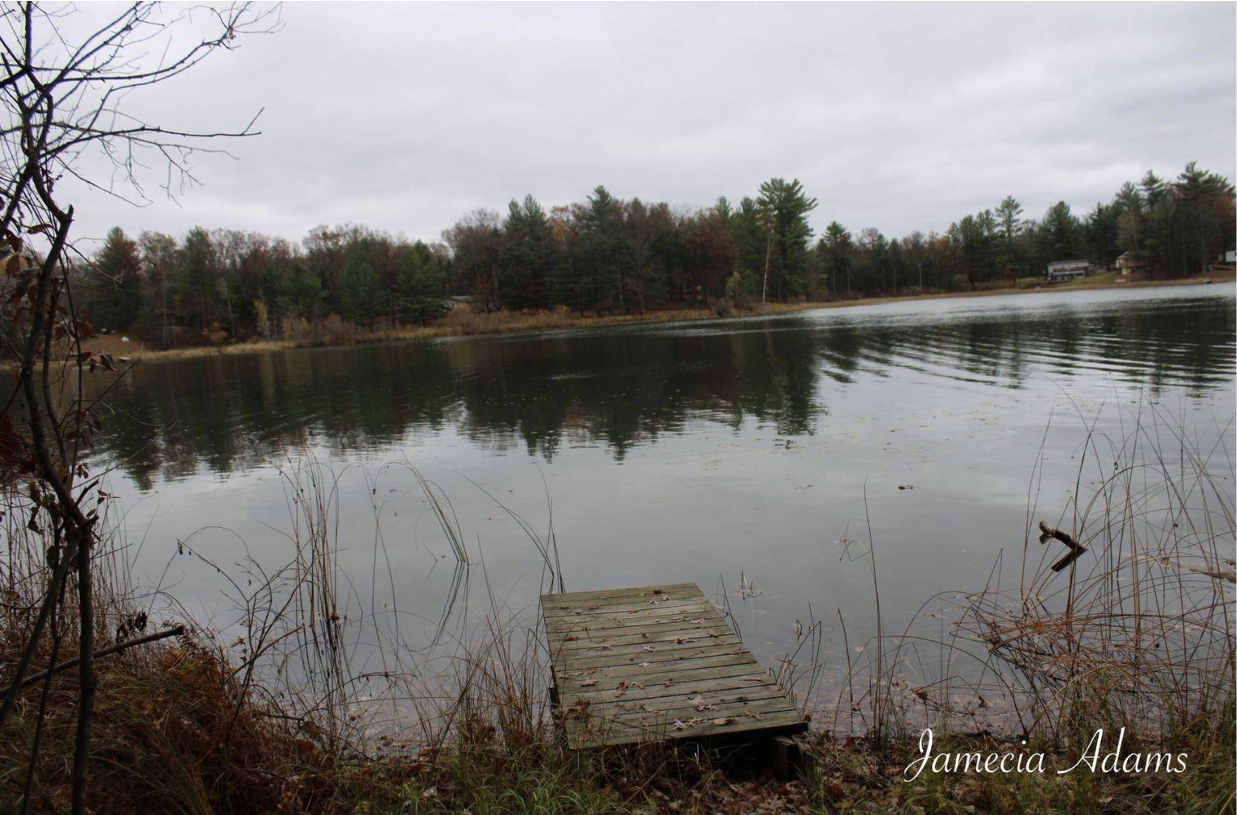 Idlewild, MI 49642,01 S Paris