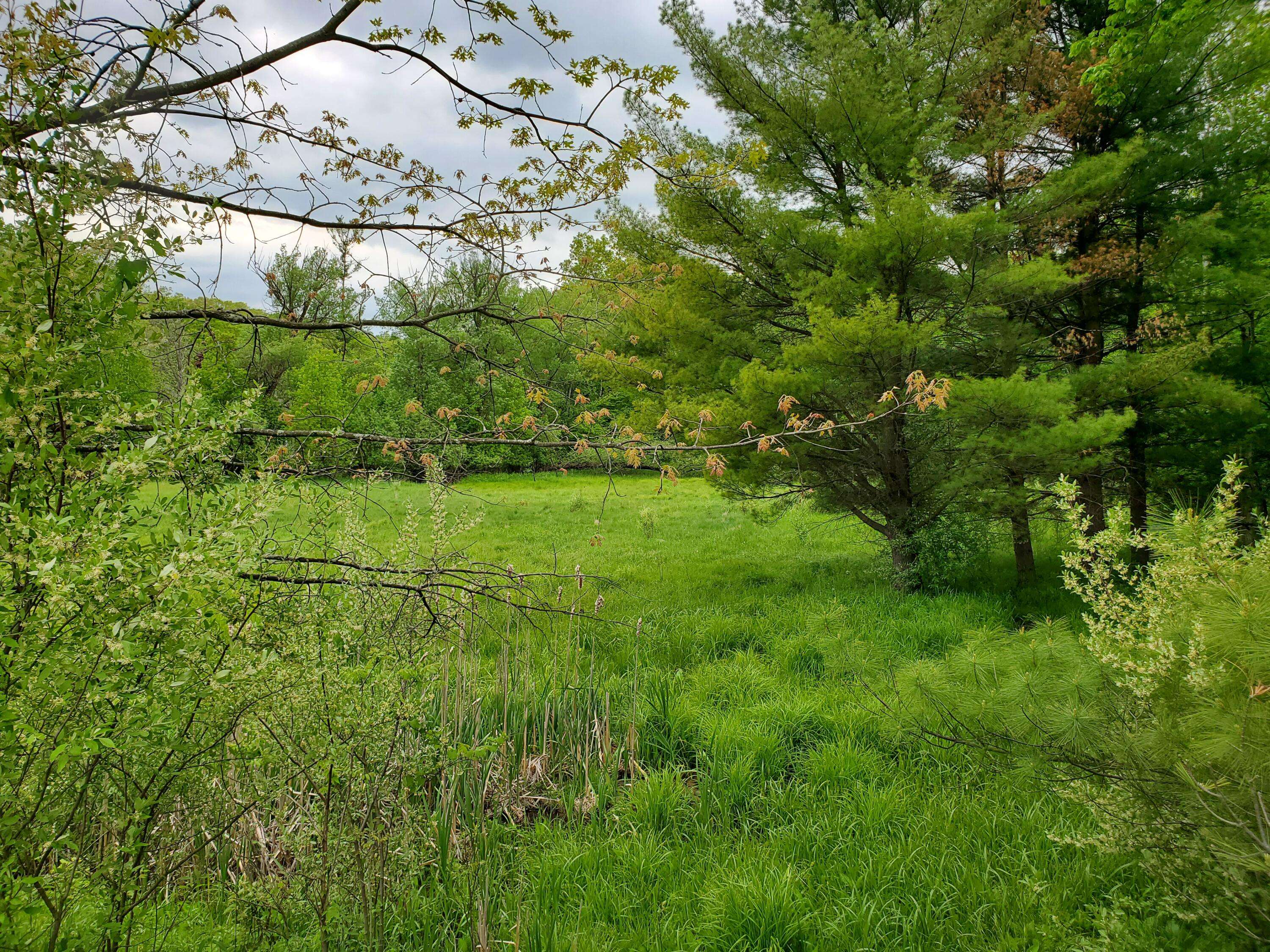 Rothbury, MI 49452,V/L E Arthur Road