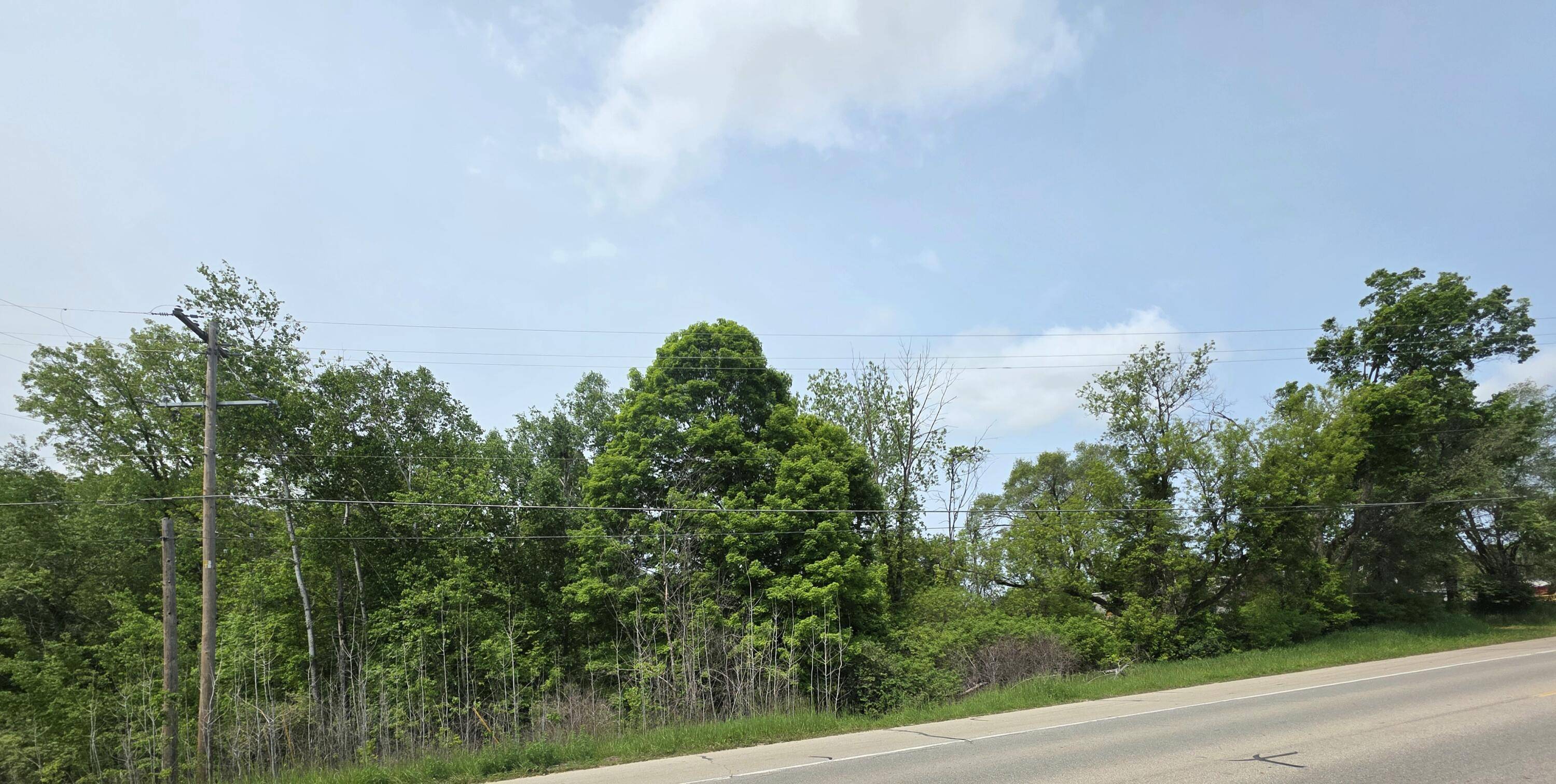 Stanton, MI 48888,V/L Lot 5 S State Street