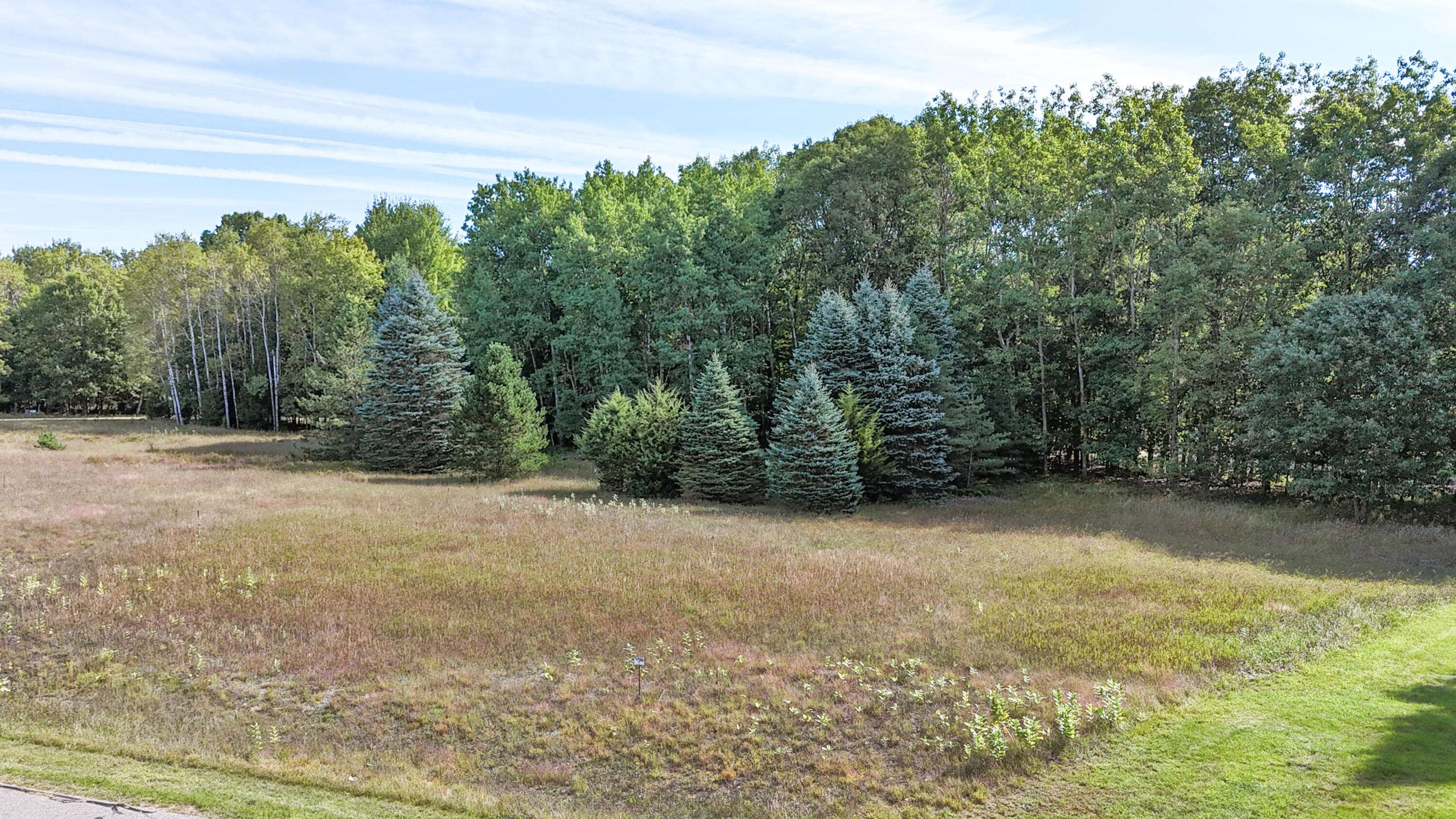 Stanwood, MI 49346,7256 Ryans Run