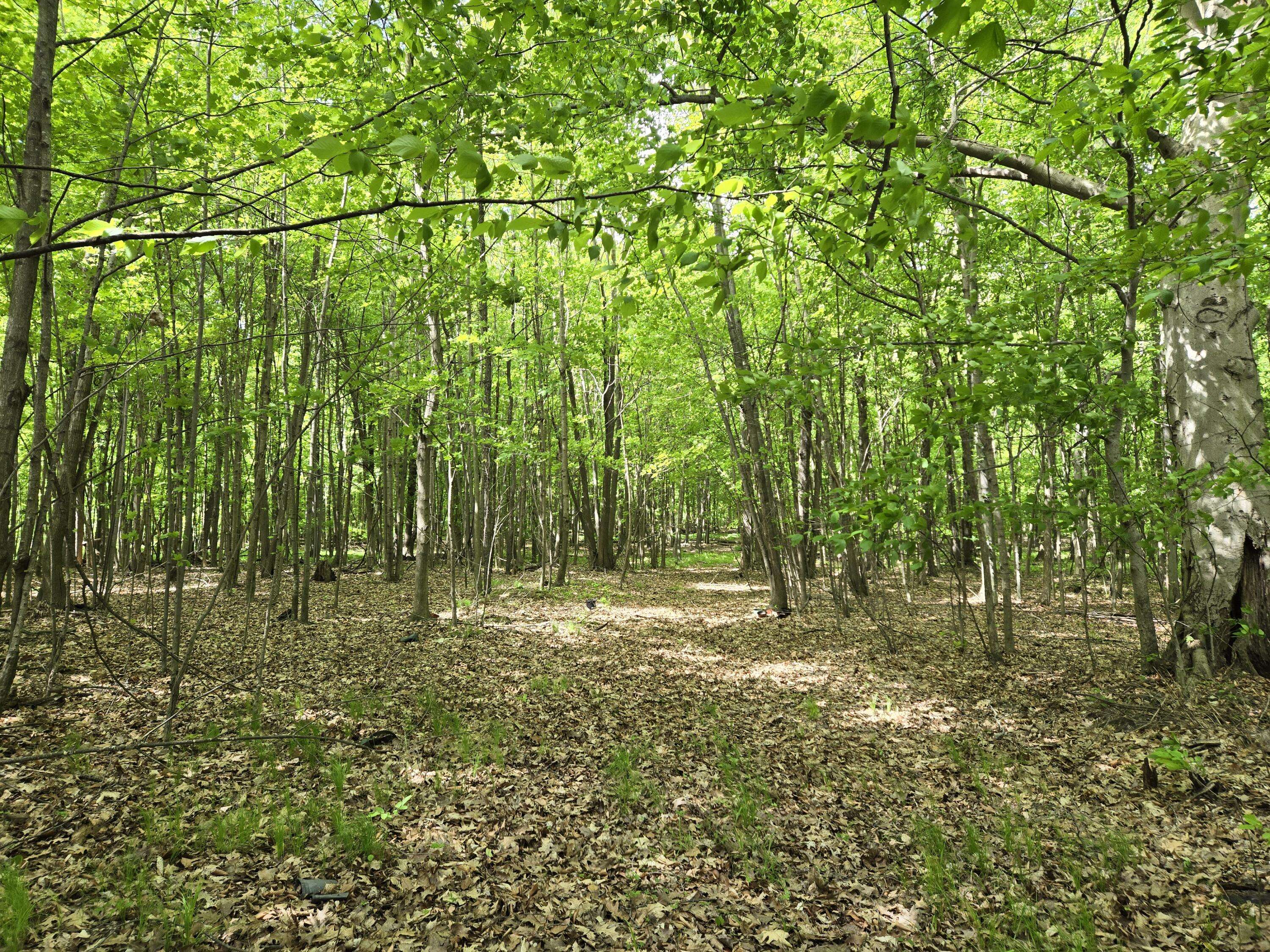 Greenville, MI 48838,4500 W Wise Road