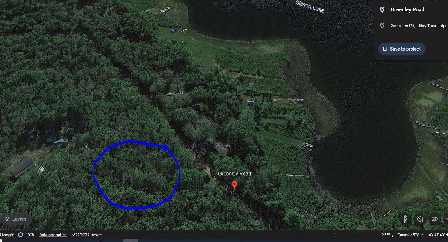 Bitely, MI 49309,GREENLY Road