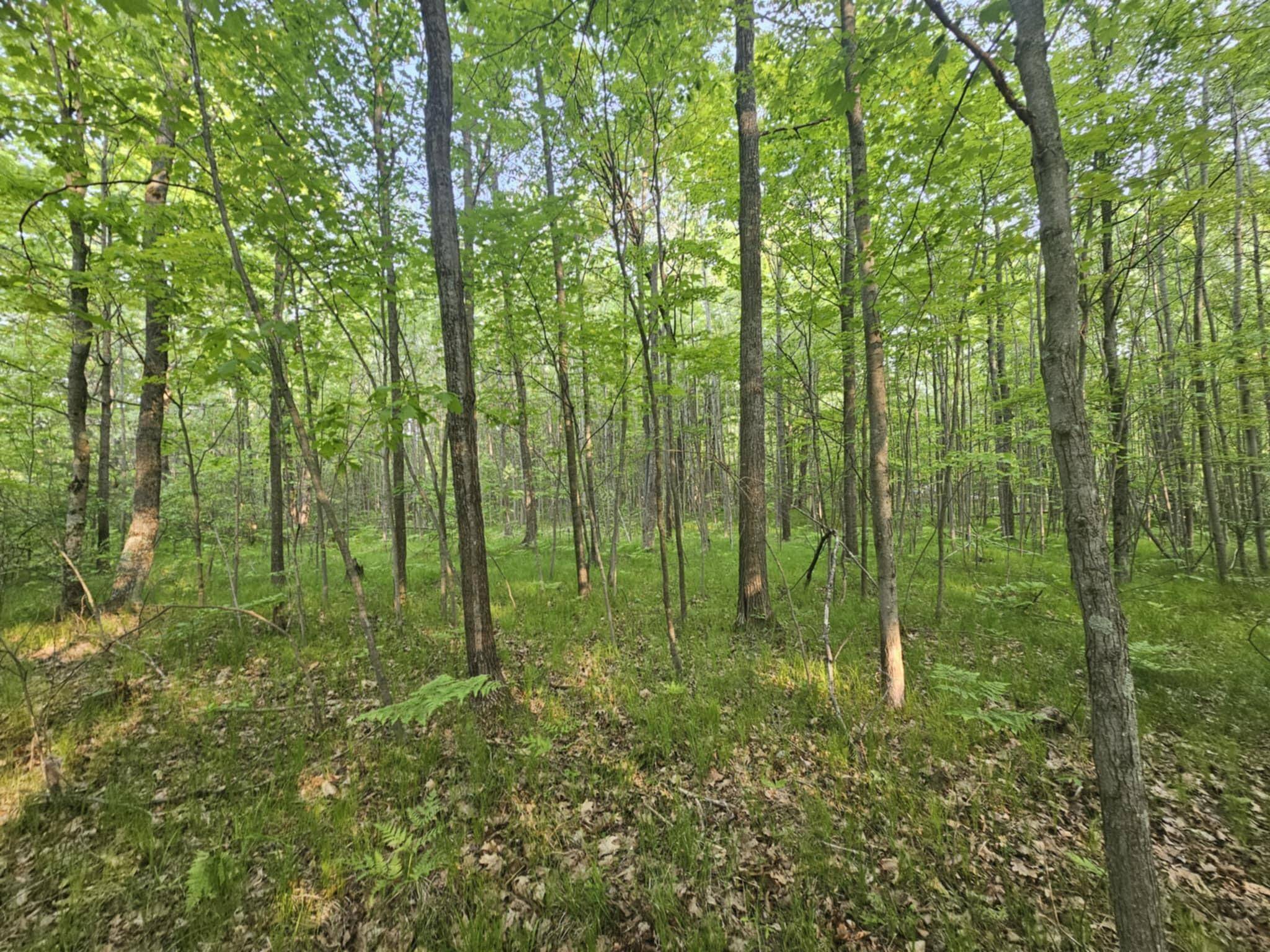 Harrison, MI 48625,V/L Mannsiding Rd