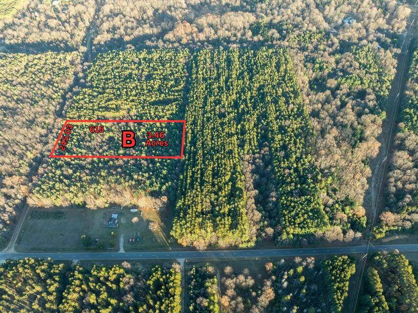 Mears, MI 49436,Parcel B Scout Road