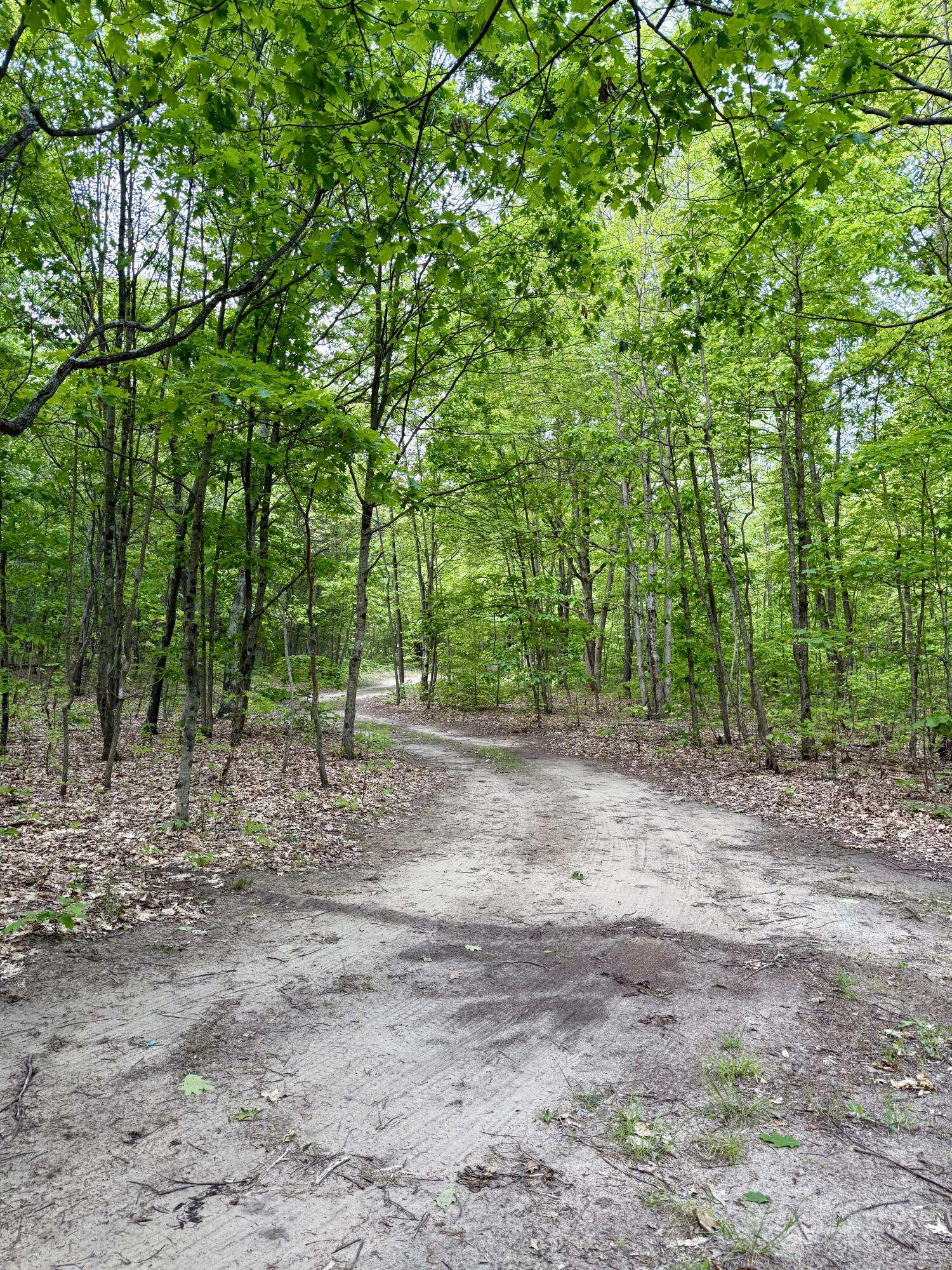 Grand Junction, MI 49056,V/L 50th Street