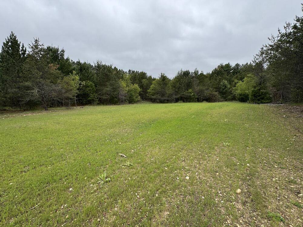 Lake City, MI 49651,W Forest Road