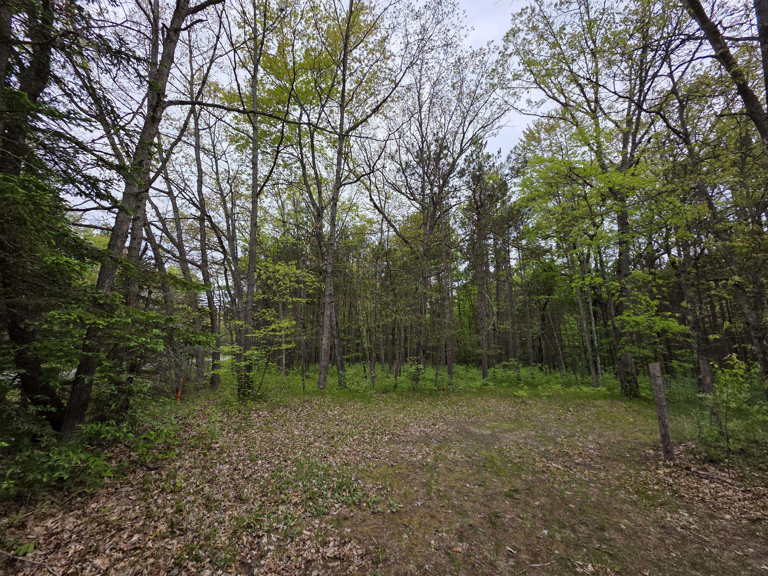 Manistee, MI 49660,7470 Becker Road