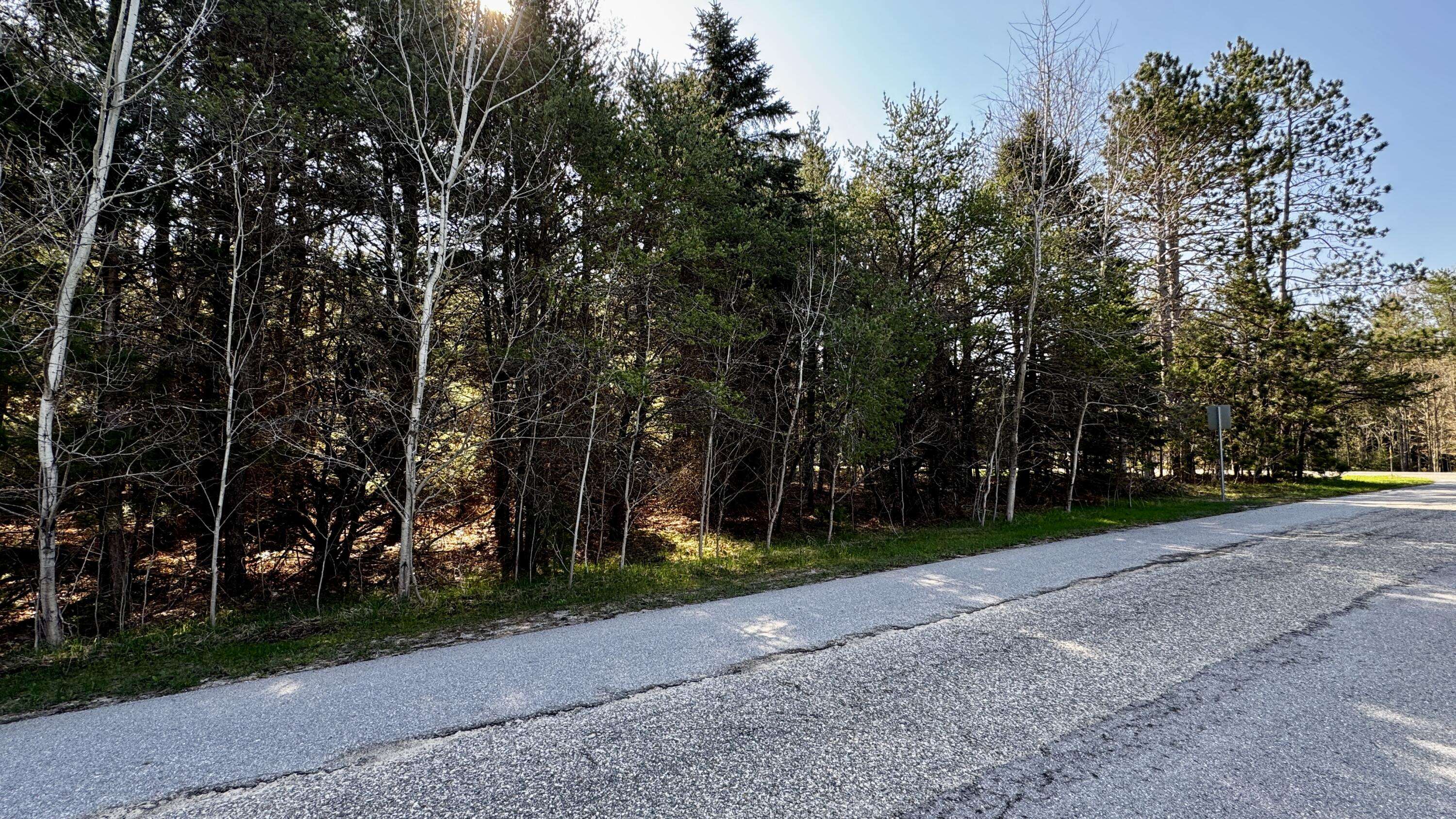 Cadillac, MI 49601,Lot 8 Whitetail Drive