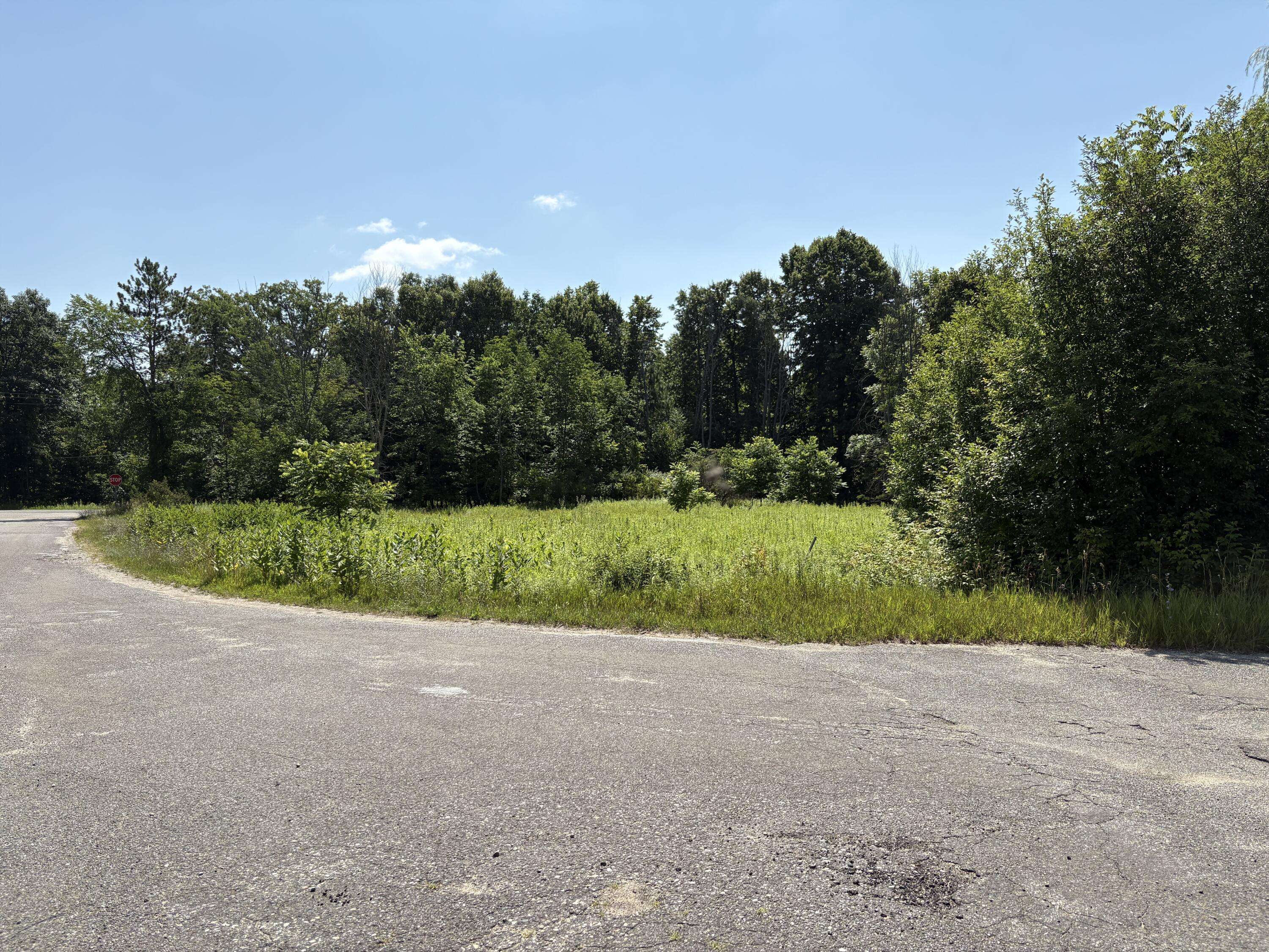 Big Rapids, MI 49307,20535 Edgewood Drive