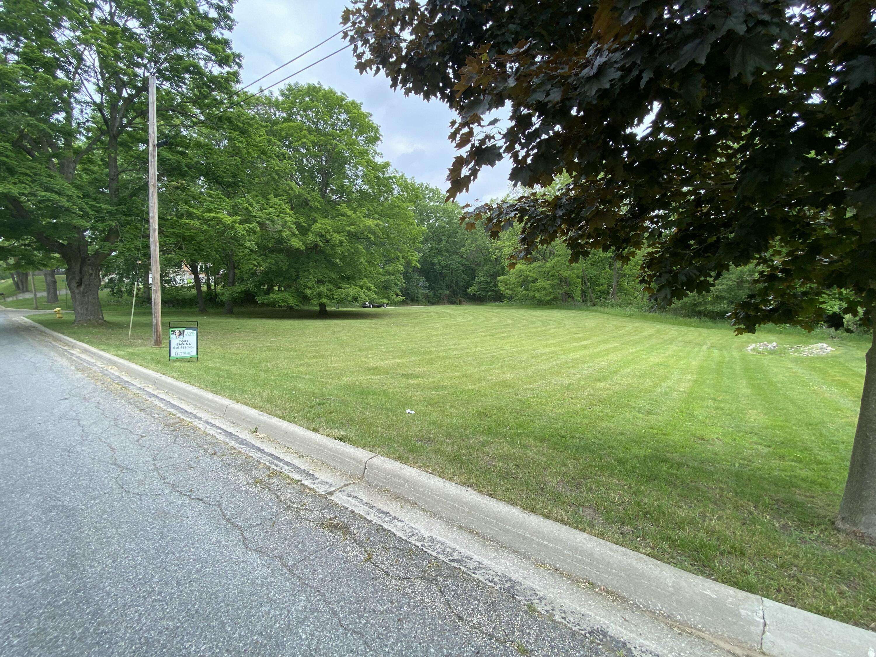 Greenville, MI 48838,Lots 12&13 Lincoln Street