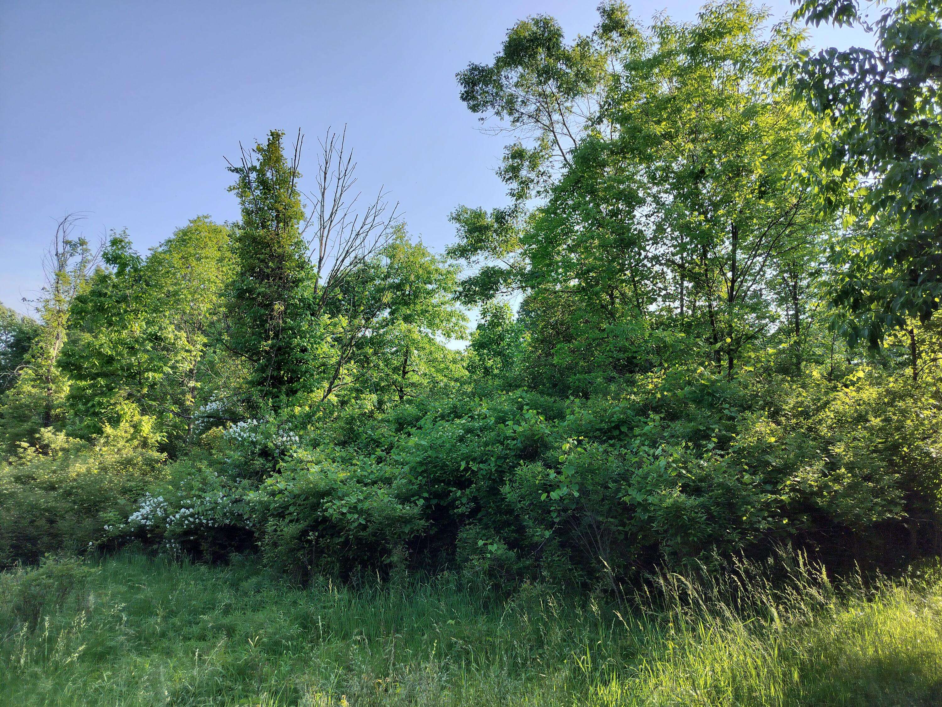 Fennville, MI 49408,VL 56th Street #A