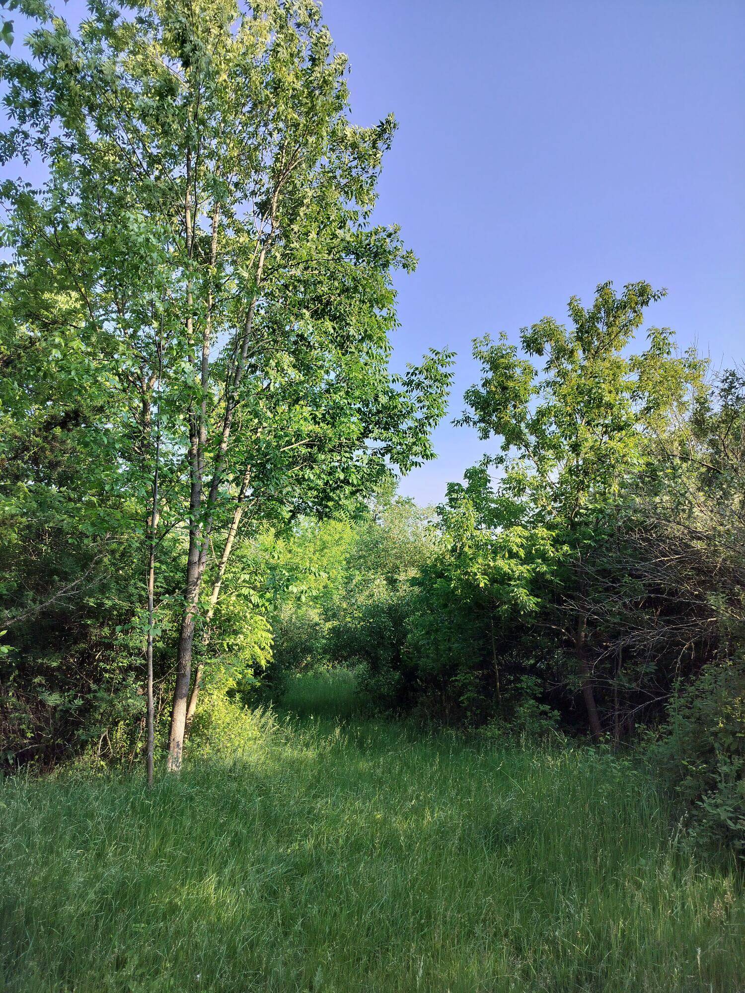 Fennville, MI 49408,VL 56th Street #B