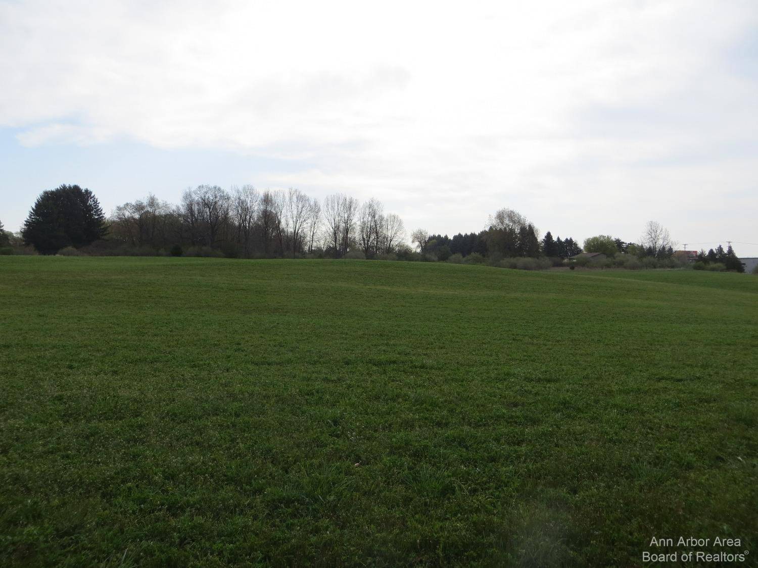 Chelsea, MI 48118,0 Luick