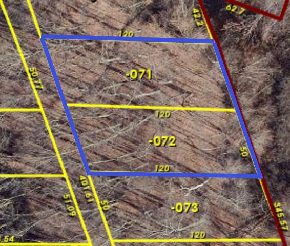Pinckney, MI 48169,Oak Vacant Lots
