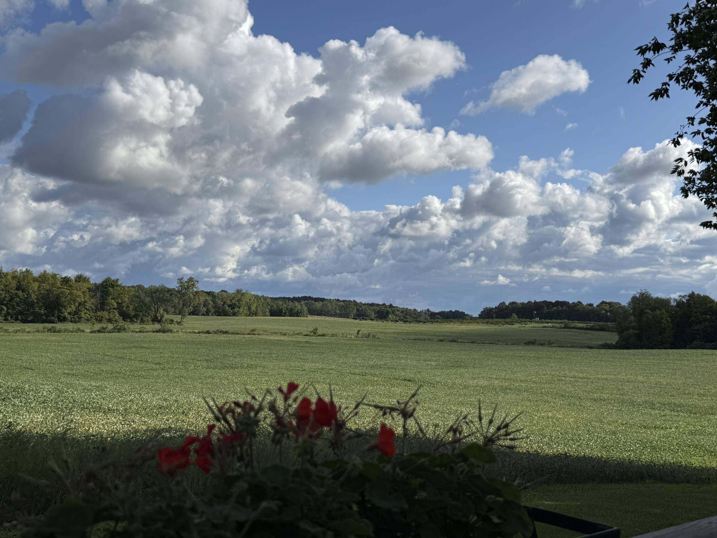 South Haven, MI 49090,1113 68th Street