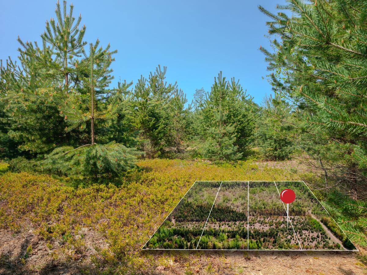 Brimley, MI 49715,Lot 3 W Pendills Lake Road
