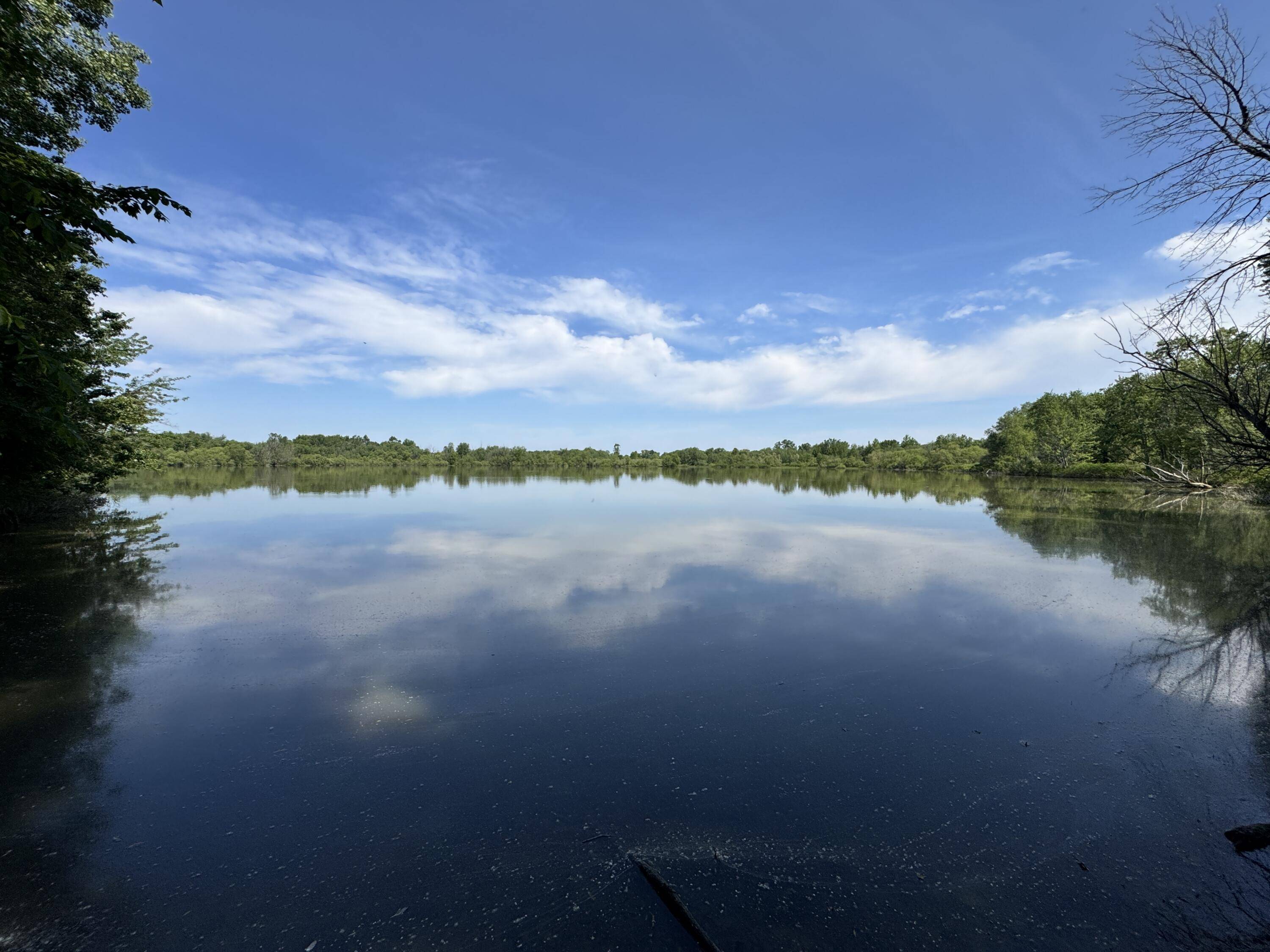 Mayville, MI 48744,VL Mowatt Road