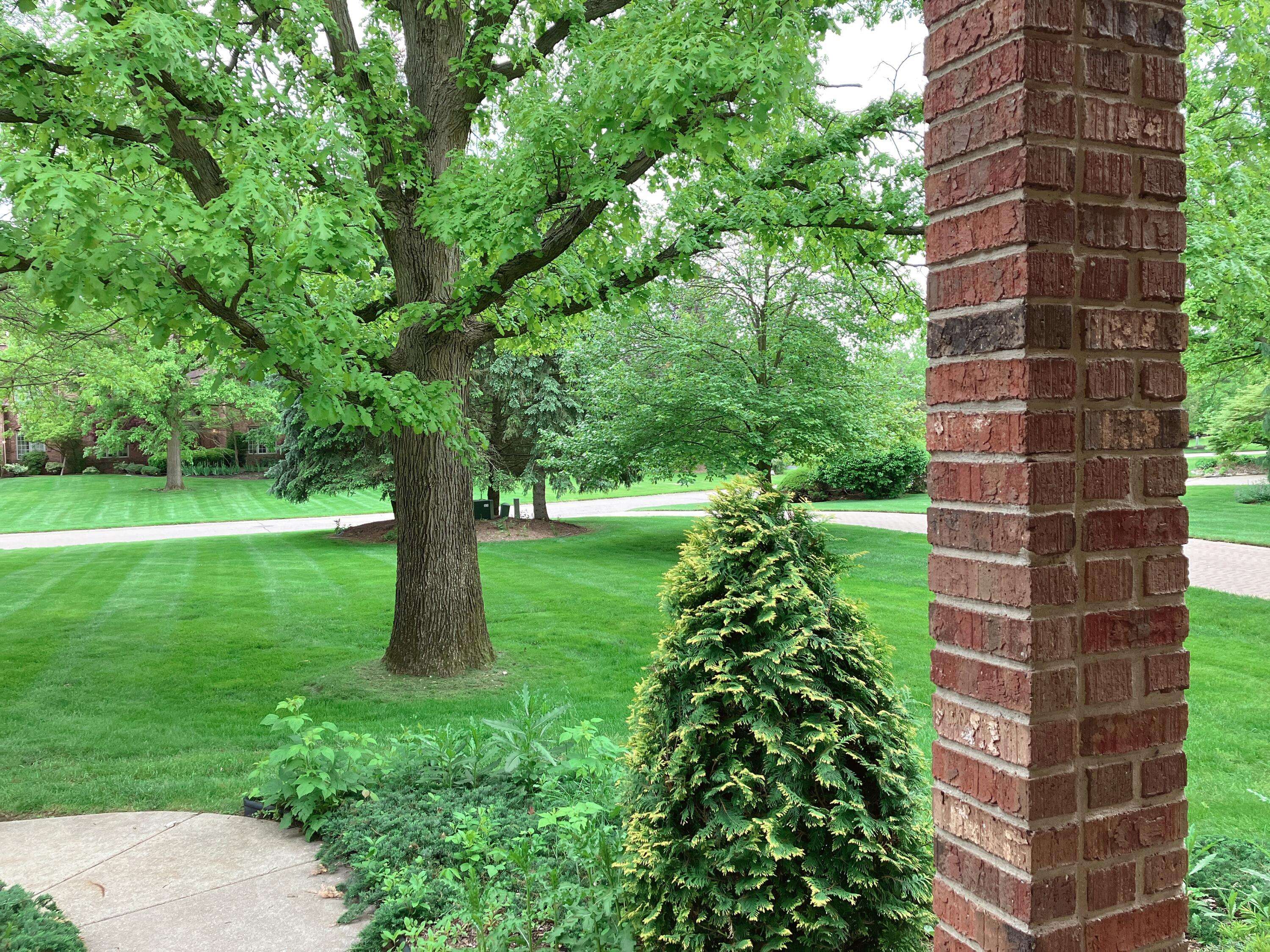 Ann Arbor, MI 48108,5060 Oak Tree Court