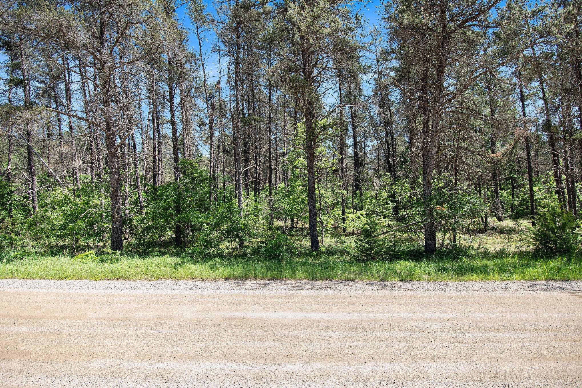 Roscommon, MI 48653,V/L(2.05A) Deep Wood Road