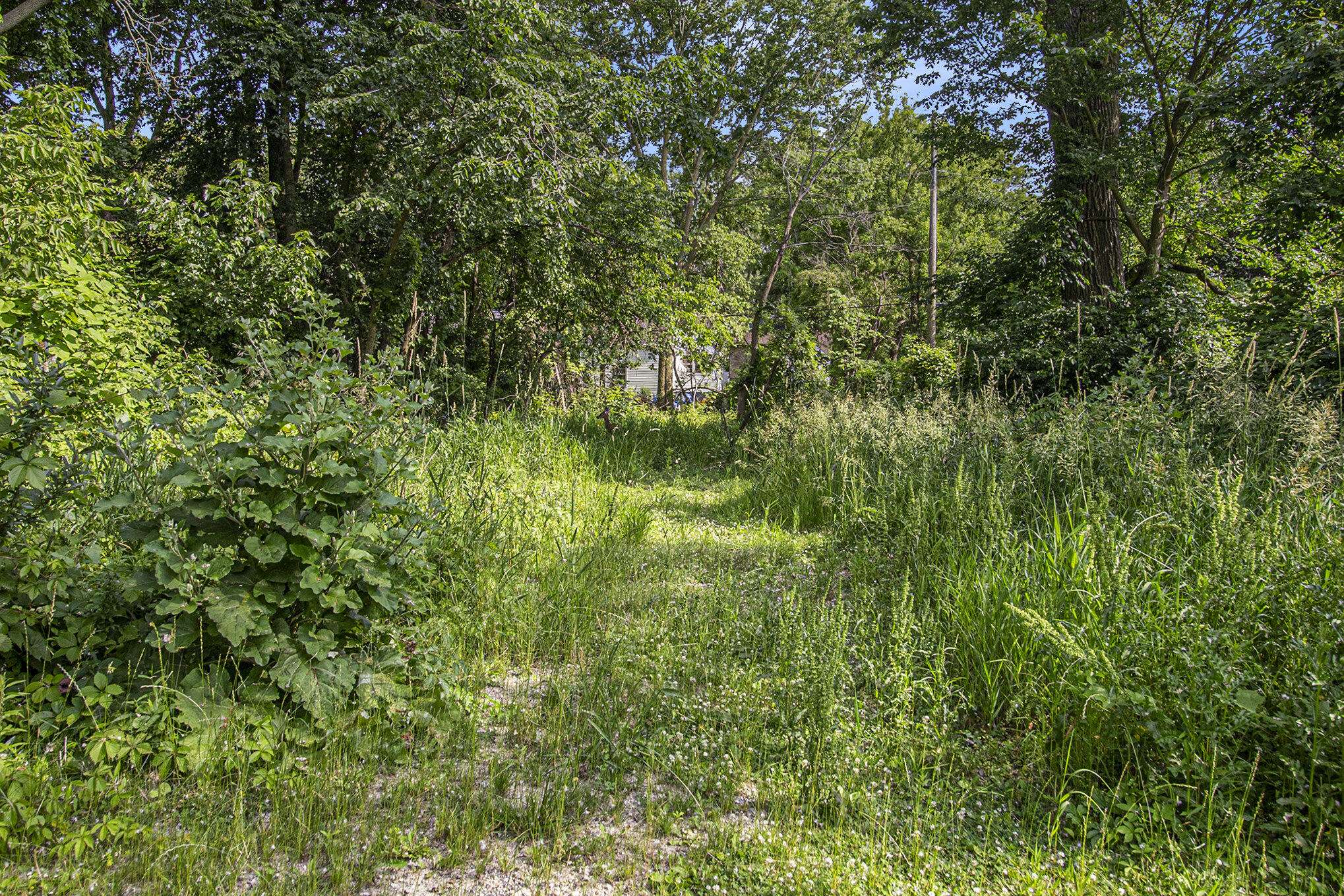 Ann Arbor, MI 48104,1288 Jewett Avenue