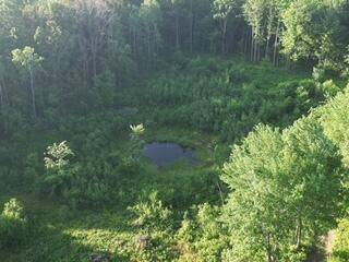 Farwell, MI 48622,3607 Bawkey W Road