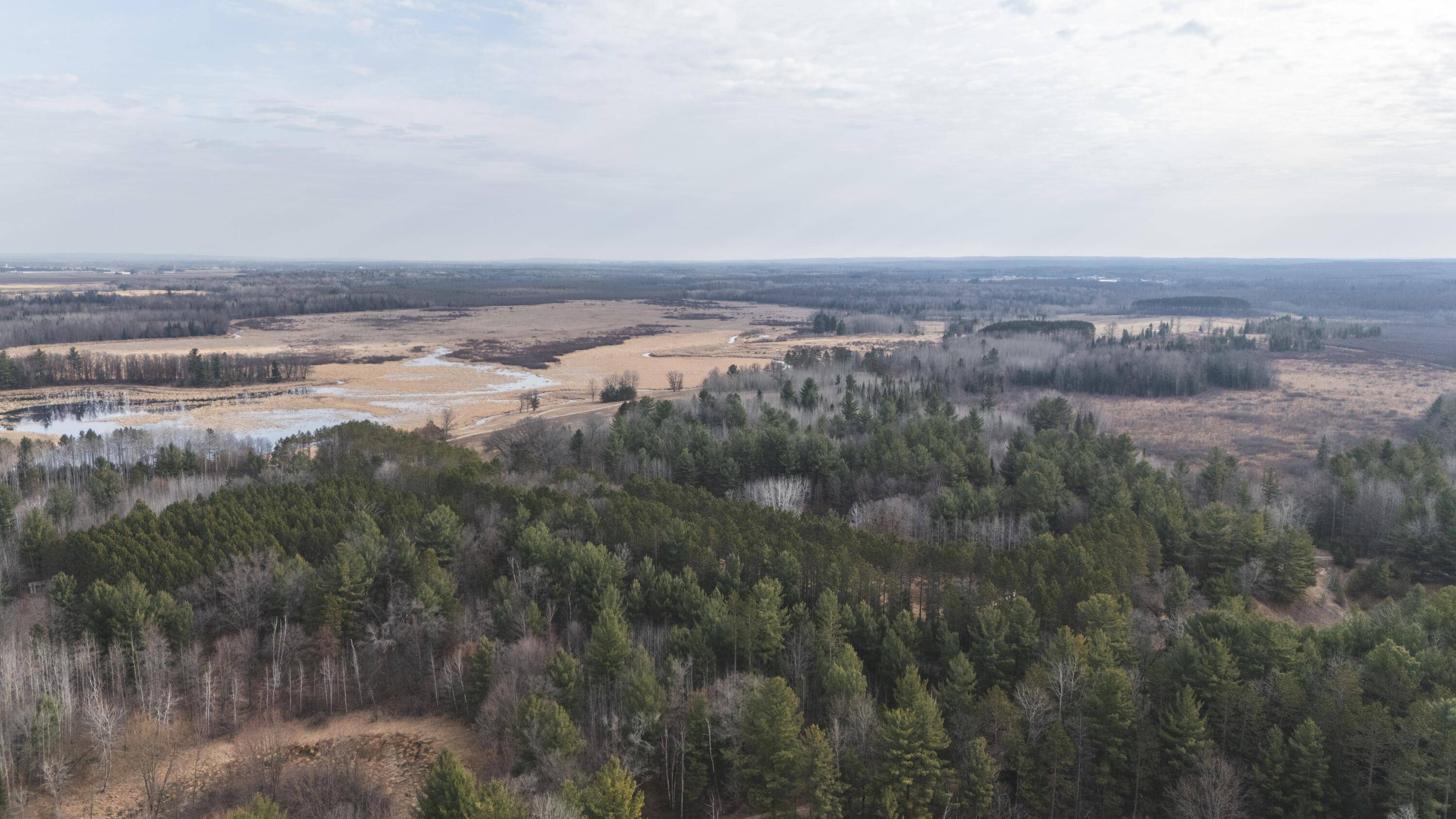 Marion, MI 49665,11048 Wilson Rd Road