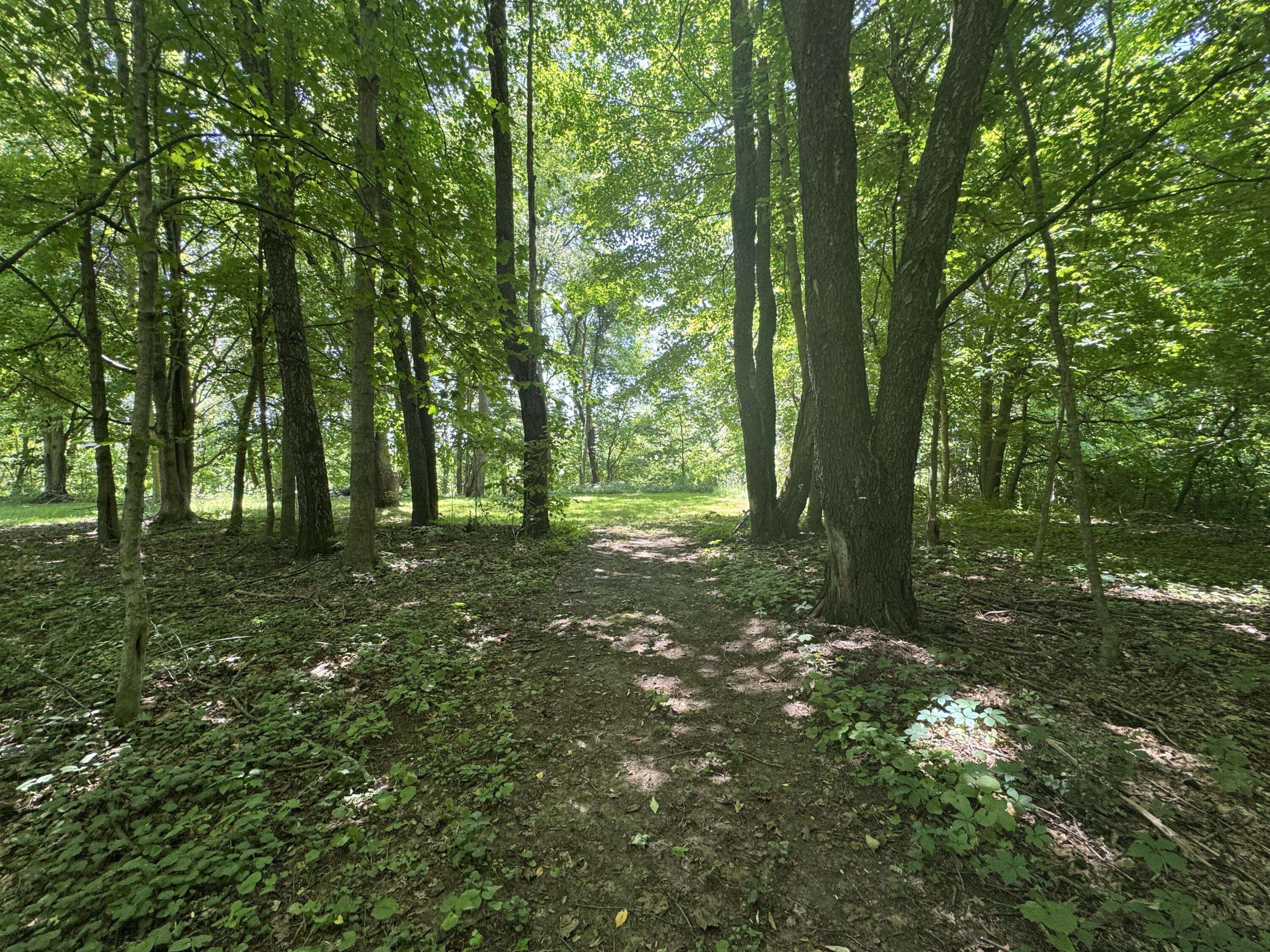Marcellus, MI 49067,V/L E South Street