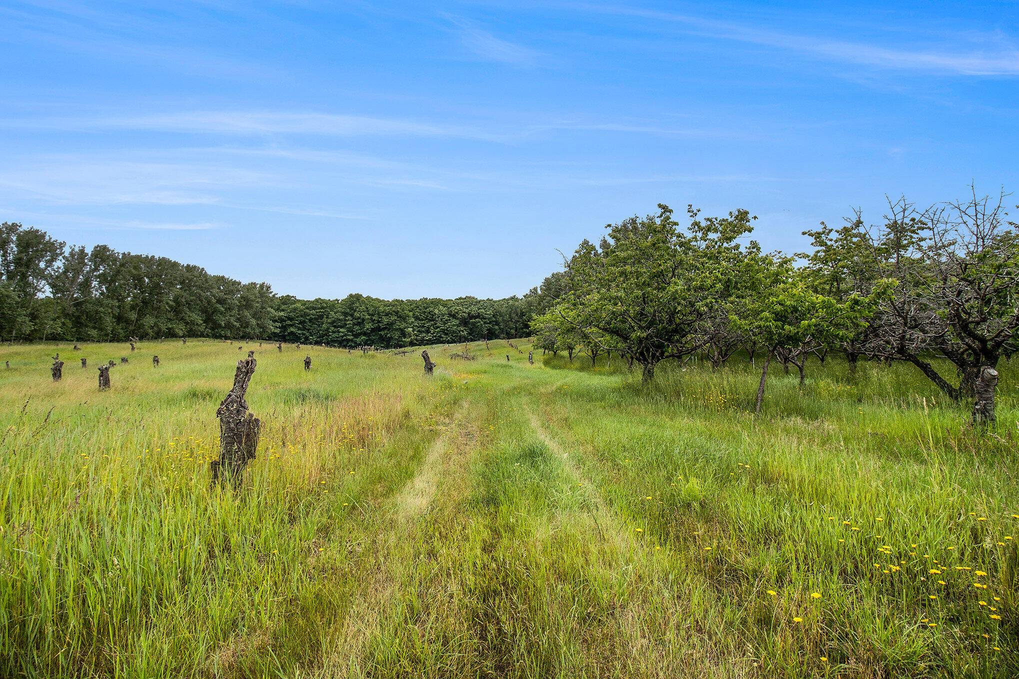 Mears, MI 49436,6.24 Acres W Tyler Road