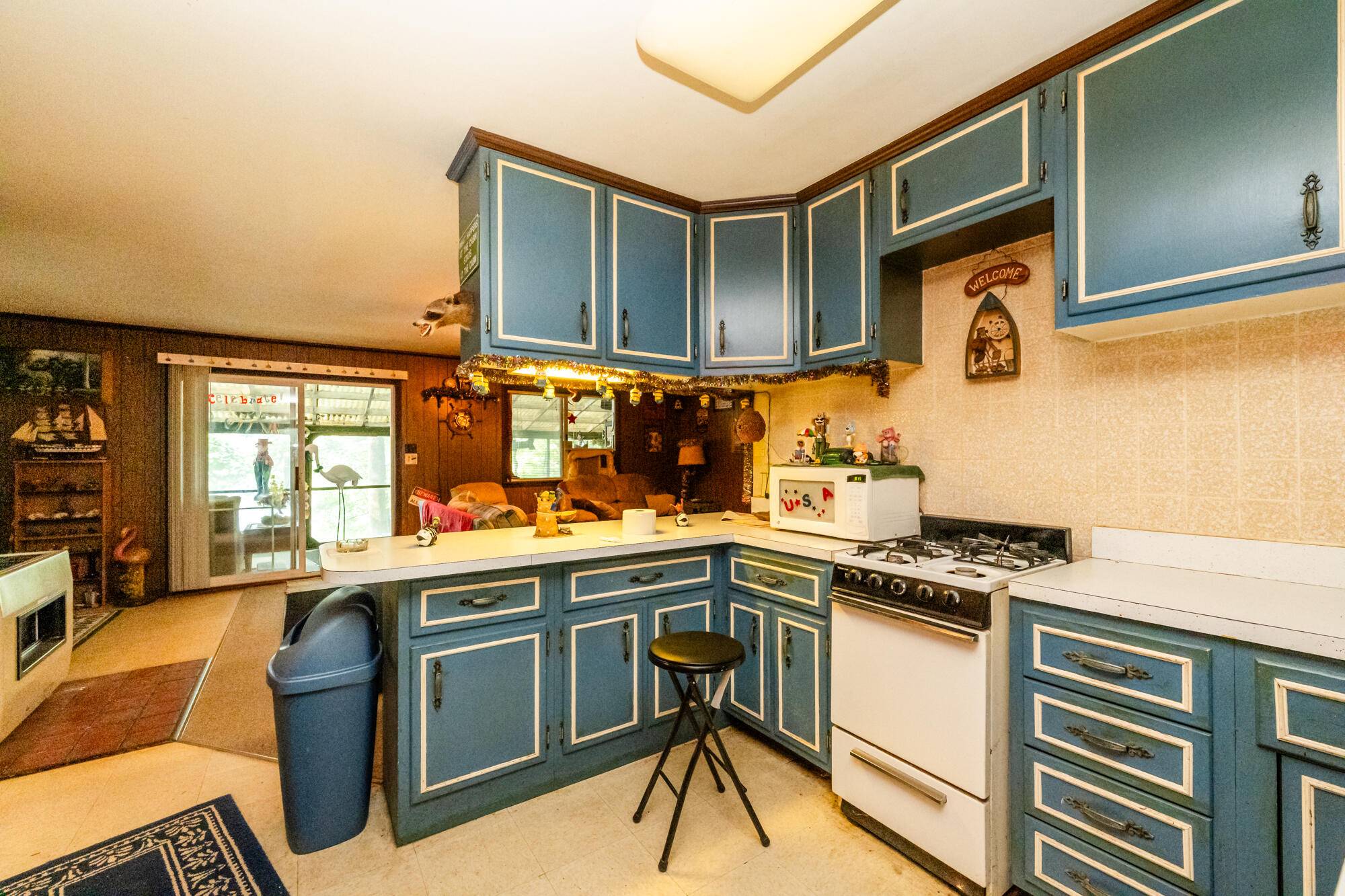 Grand Junction, MI 49056,10055 Co Rd 215