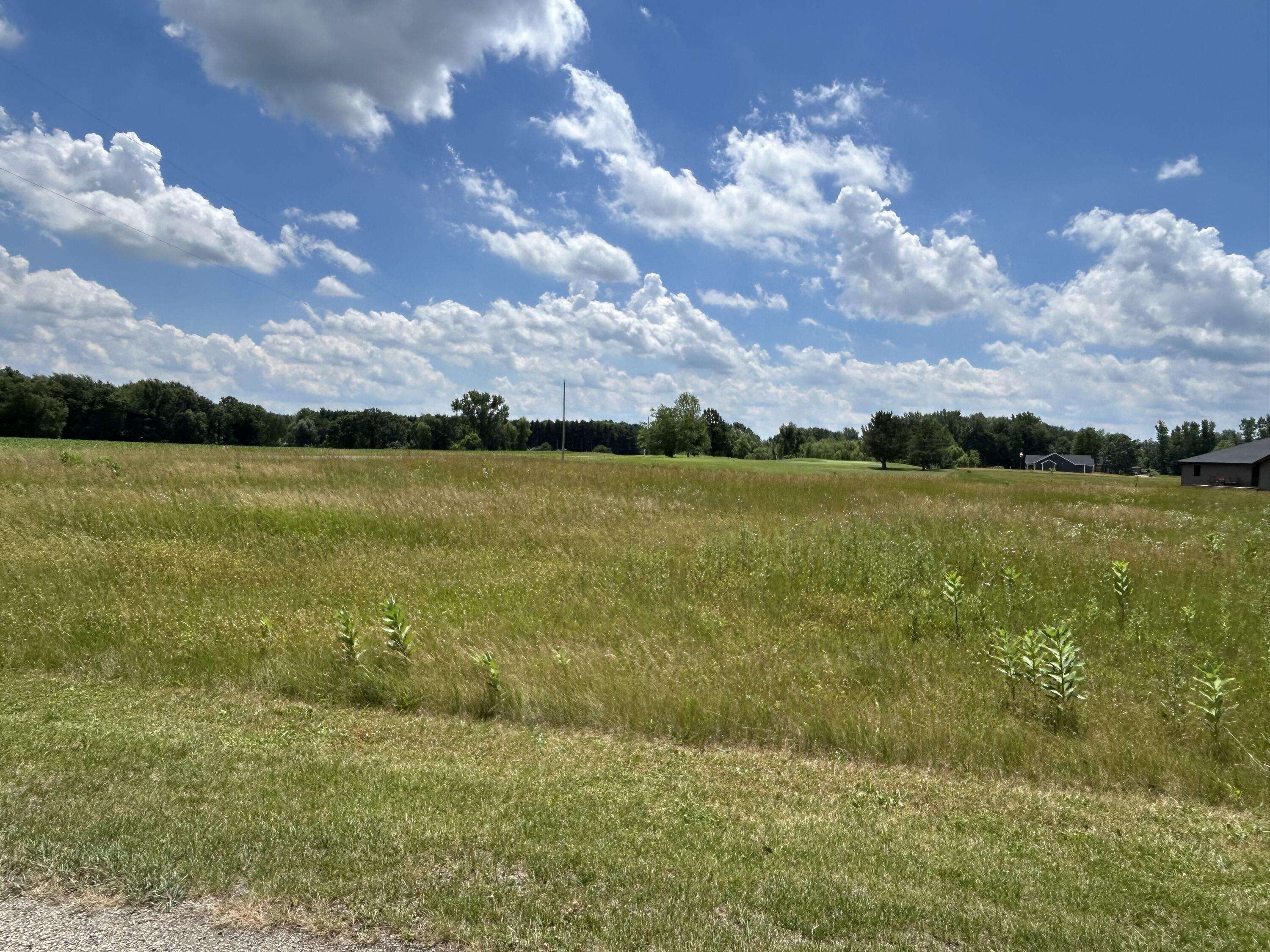 Coldwater, MI 49036,649 Blackberry Drive #Lot #1