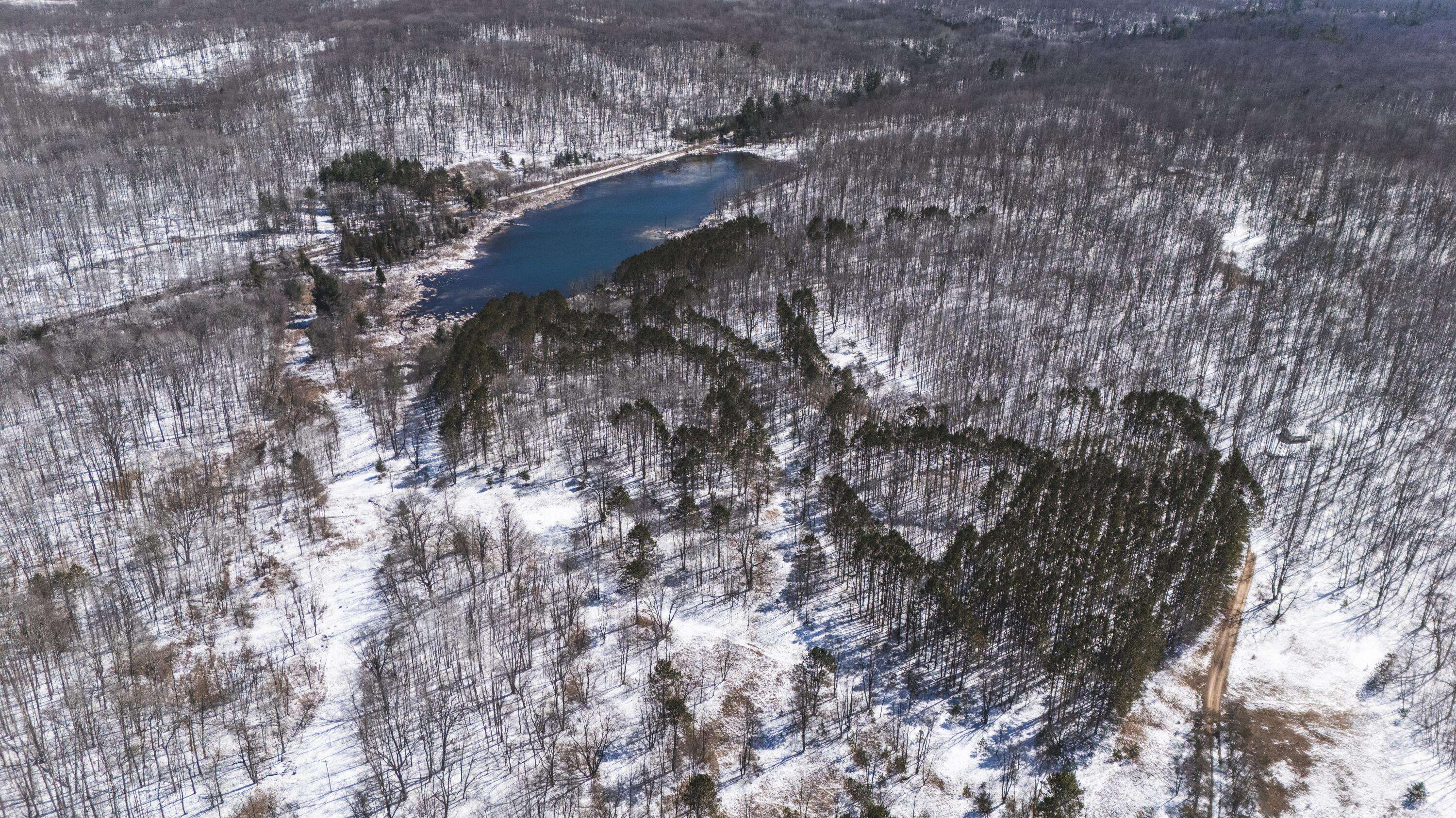 Lake, MI 48632,V/L Jackson Avenue