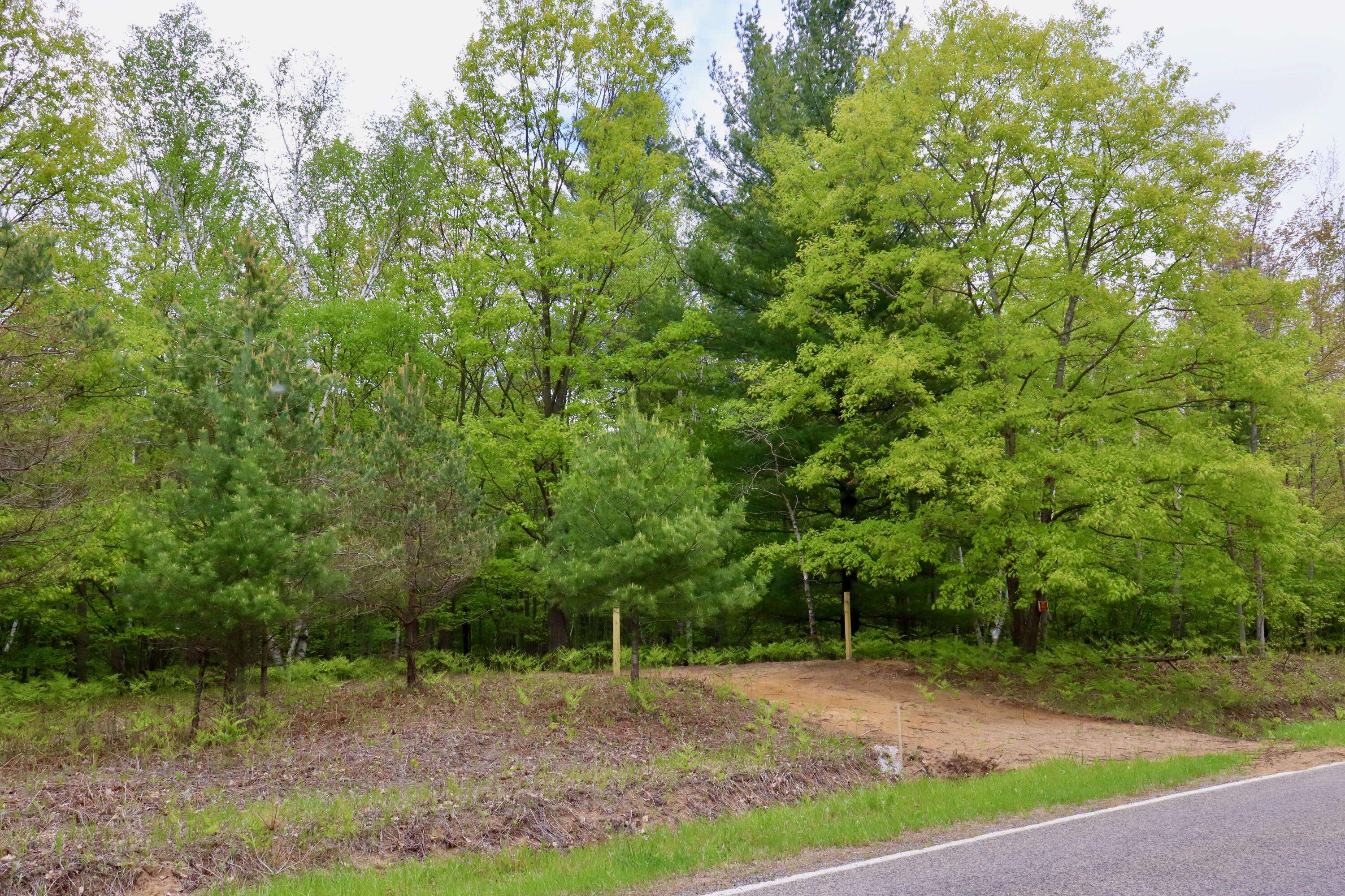 Rhodes, MI 48652,V/L E Levely Road